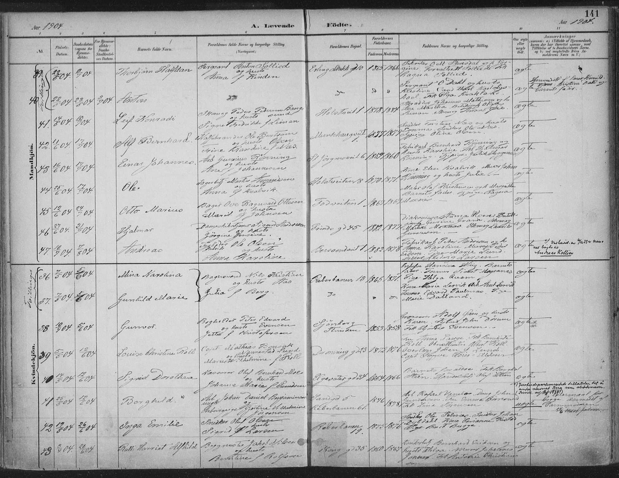 Ministerialprotokoller, klokkerbøker og fødselsregistre - Sør-Trøndelag, AV/SAT-A-1456/601/L0062: Parish register (official) no. 601A30, 1891-1911, p. 141