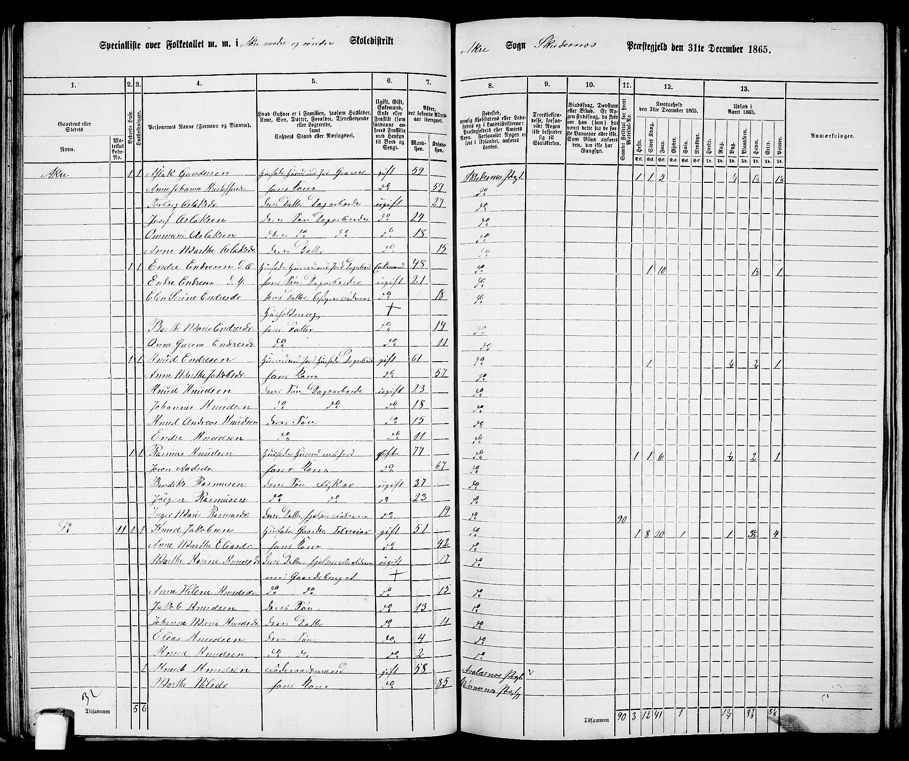 RA, 1865 census for Skudenes, 1865, p. 53