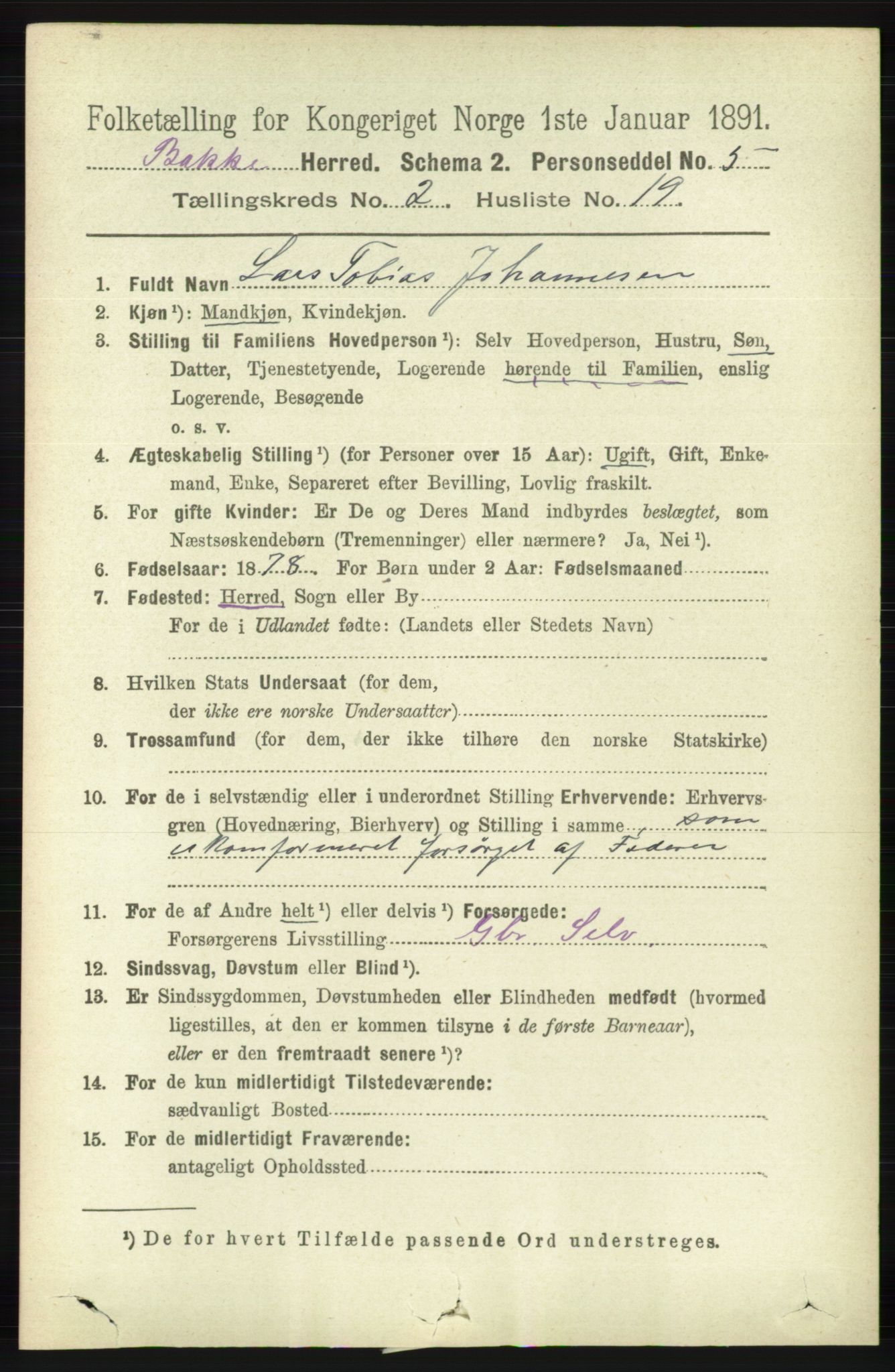 RA, 1891 census for 1045 Bakke, 1891, p. 384