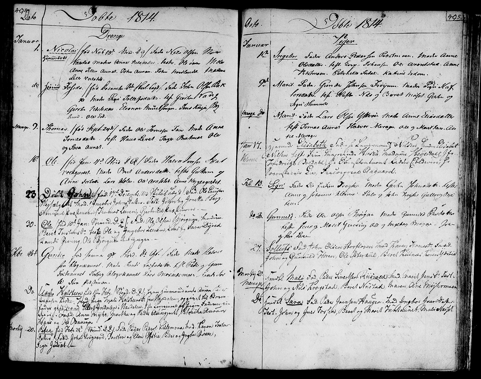 Ministerialprotokoller, klokkerbøker og fødselsregistre - Nord-Trøndelag, AV/SAT-A-1458/709/L0060: Parish register (official) no. 709A07, 1797-1815, p. 494-495