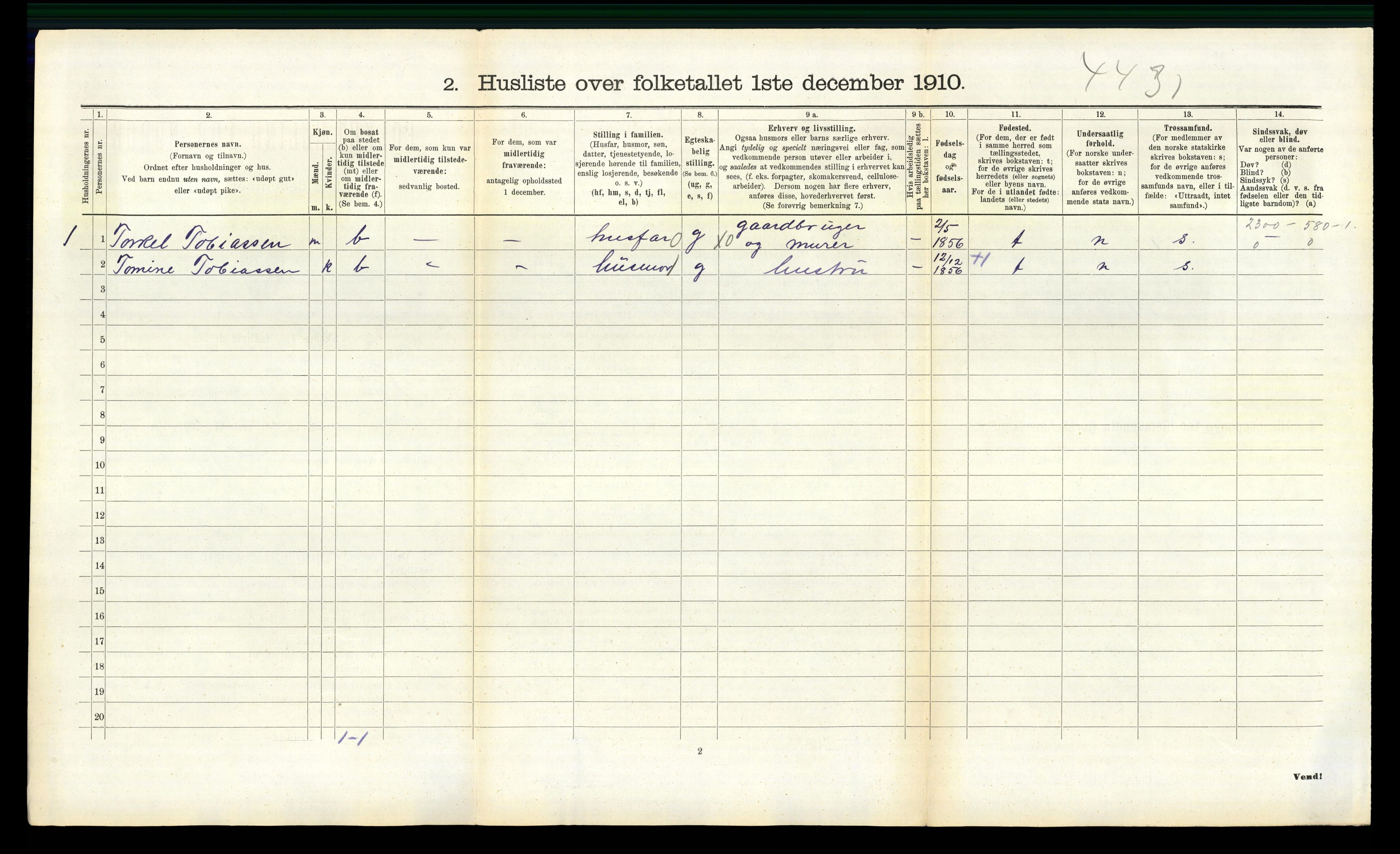 RA, 1910 census for Sør-Audnedal, 1910, p. 1084