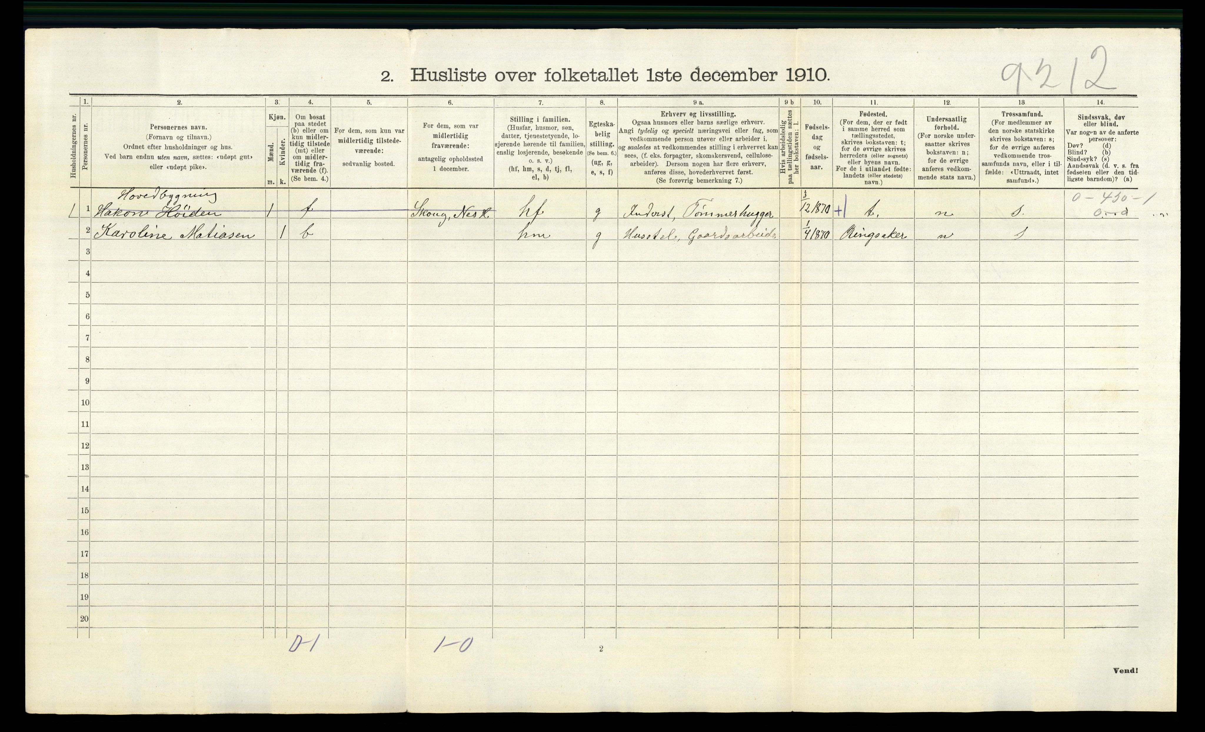 RA, 1910 census for Nes, 1910, p. 700