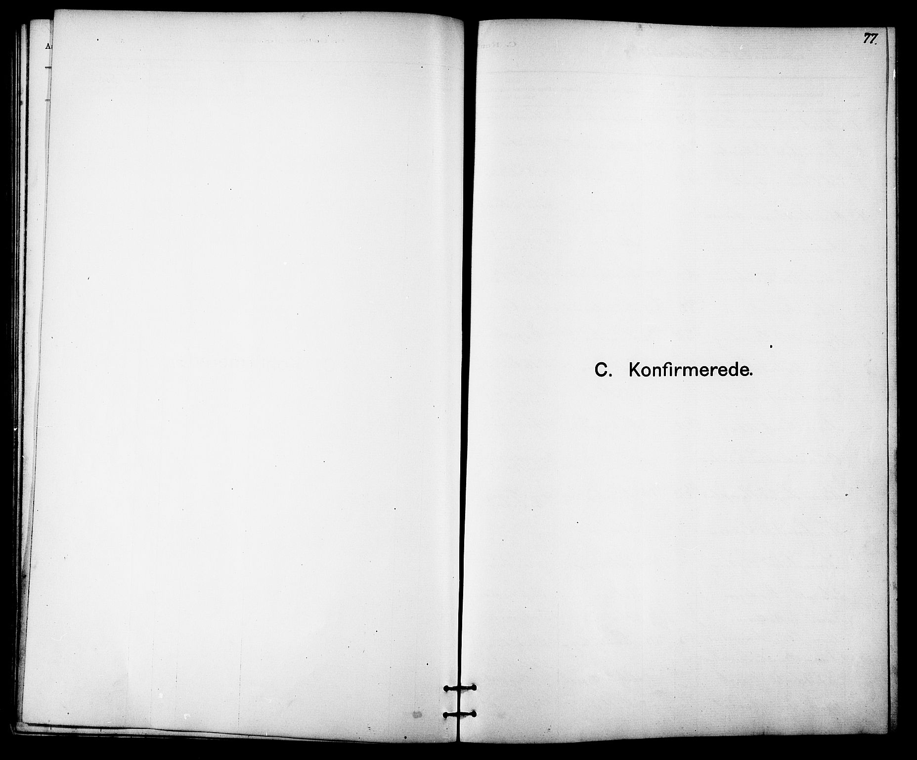 Ministerialprotokoller, klokkerbøker og fødselsregistre - Sør-Trøndelag, SAT/A-1456/613/L0395: Parish register (copy) no. 613C03, 1887-1909, p. 77
