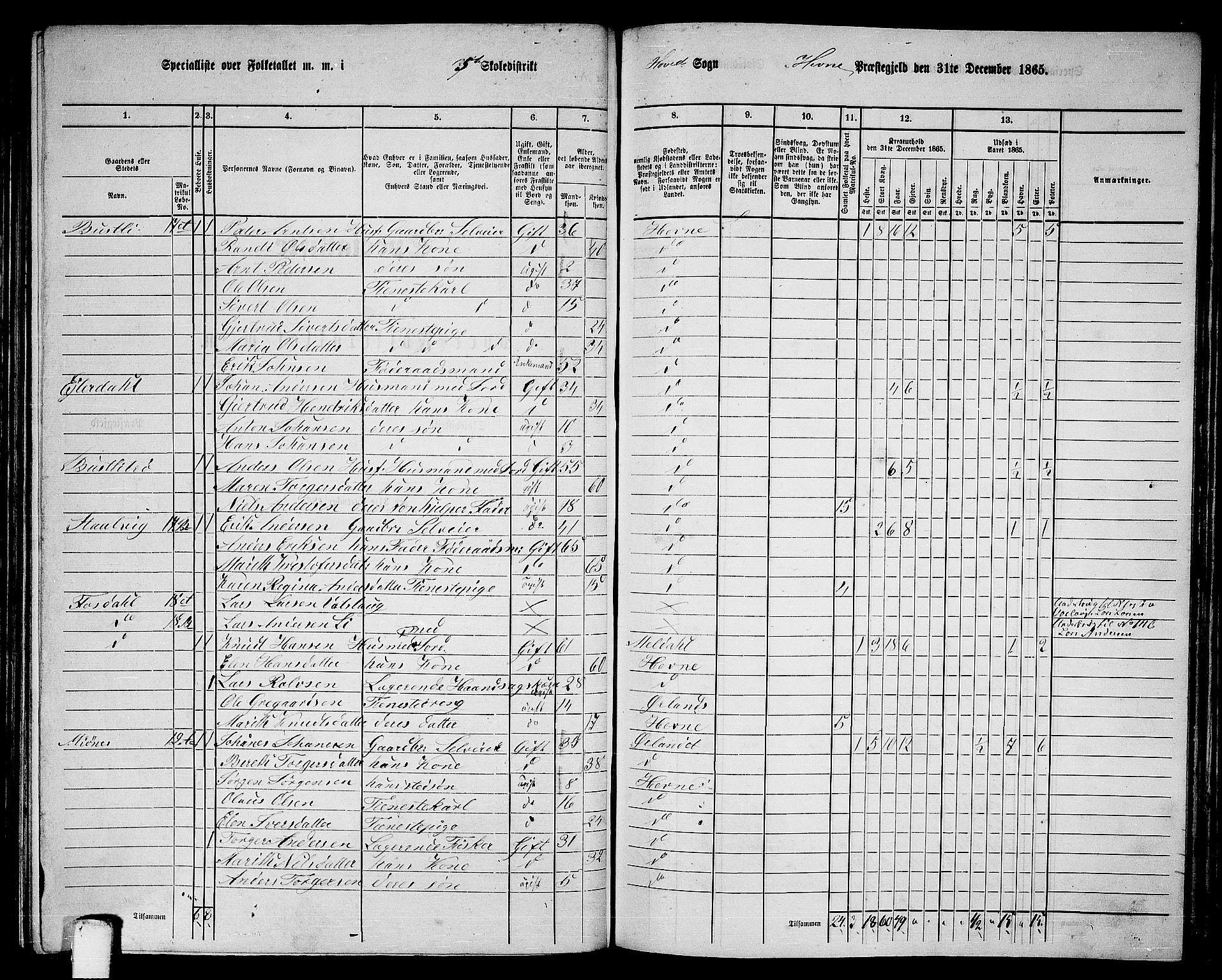 RA, 1865 census for Hemne, 1865, p. 118