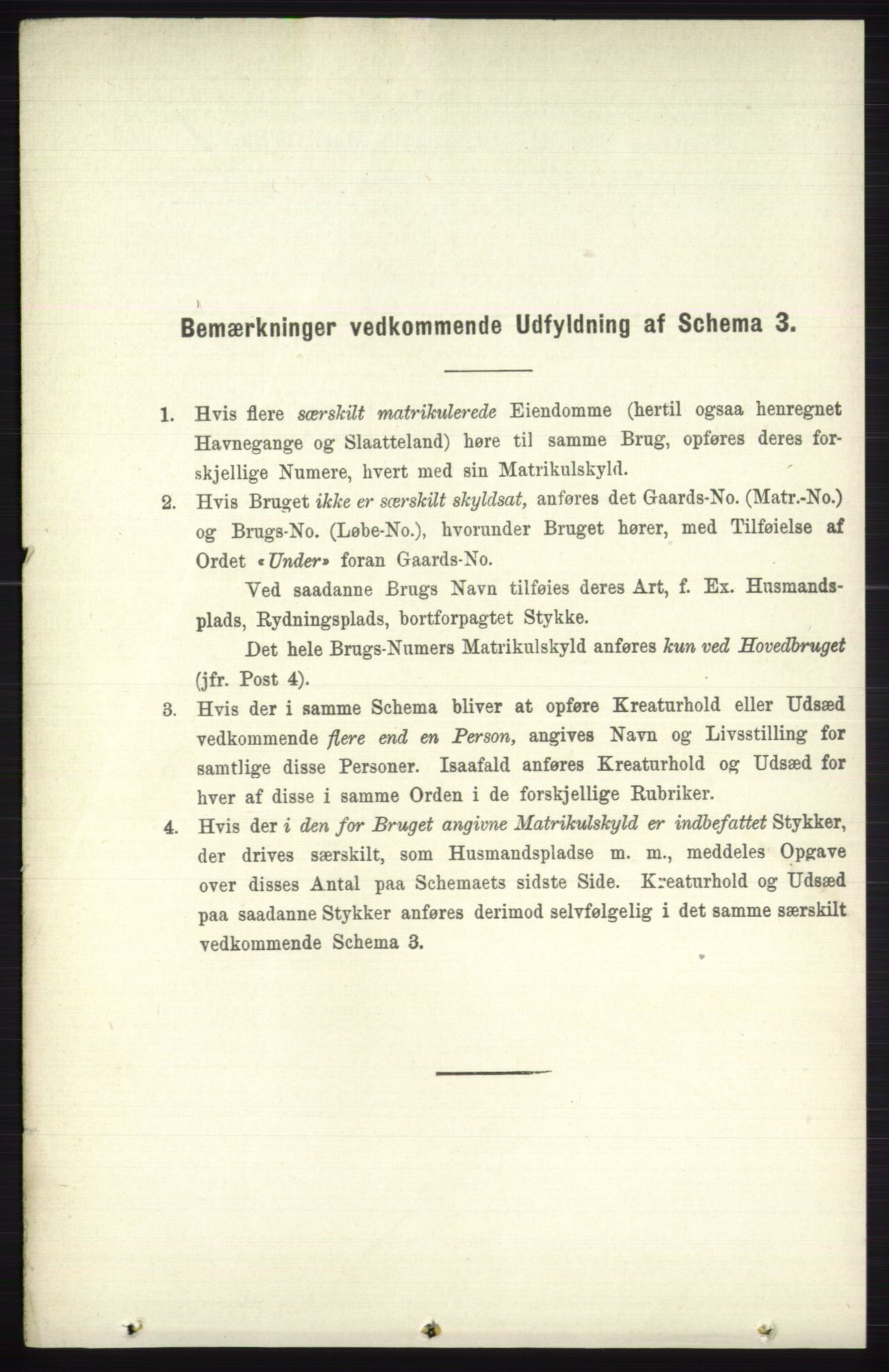 RA, 1891 census for 0544 Øystre Slidre, 1891, p. 1073