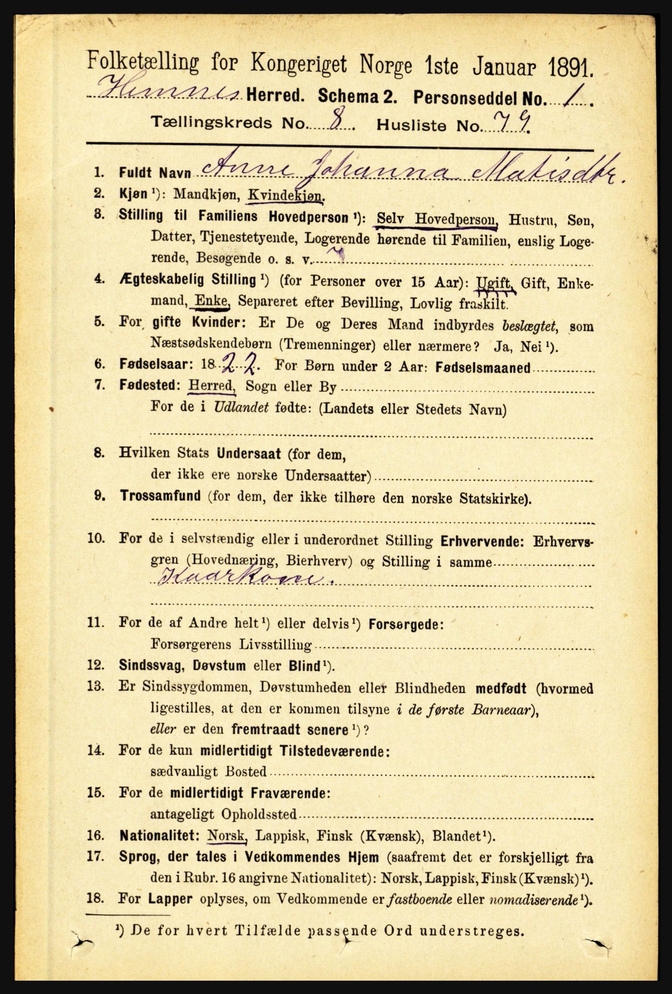 RA, 1891 census for 1832 Hemnes, 1891, p. 4151