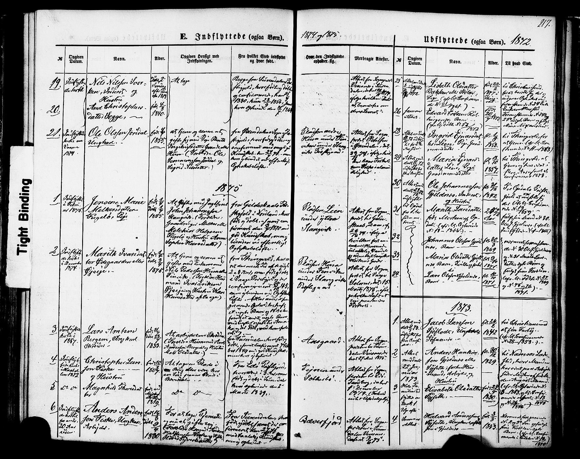 Ministerialprotokoller, klokkerbøker og fødselsregistre - Møre og Romsdal, SAT/A-1454/592/L1027: Parish register (official) no. 592A05, 1865-1878, p. 217