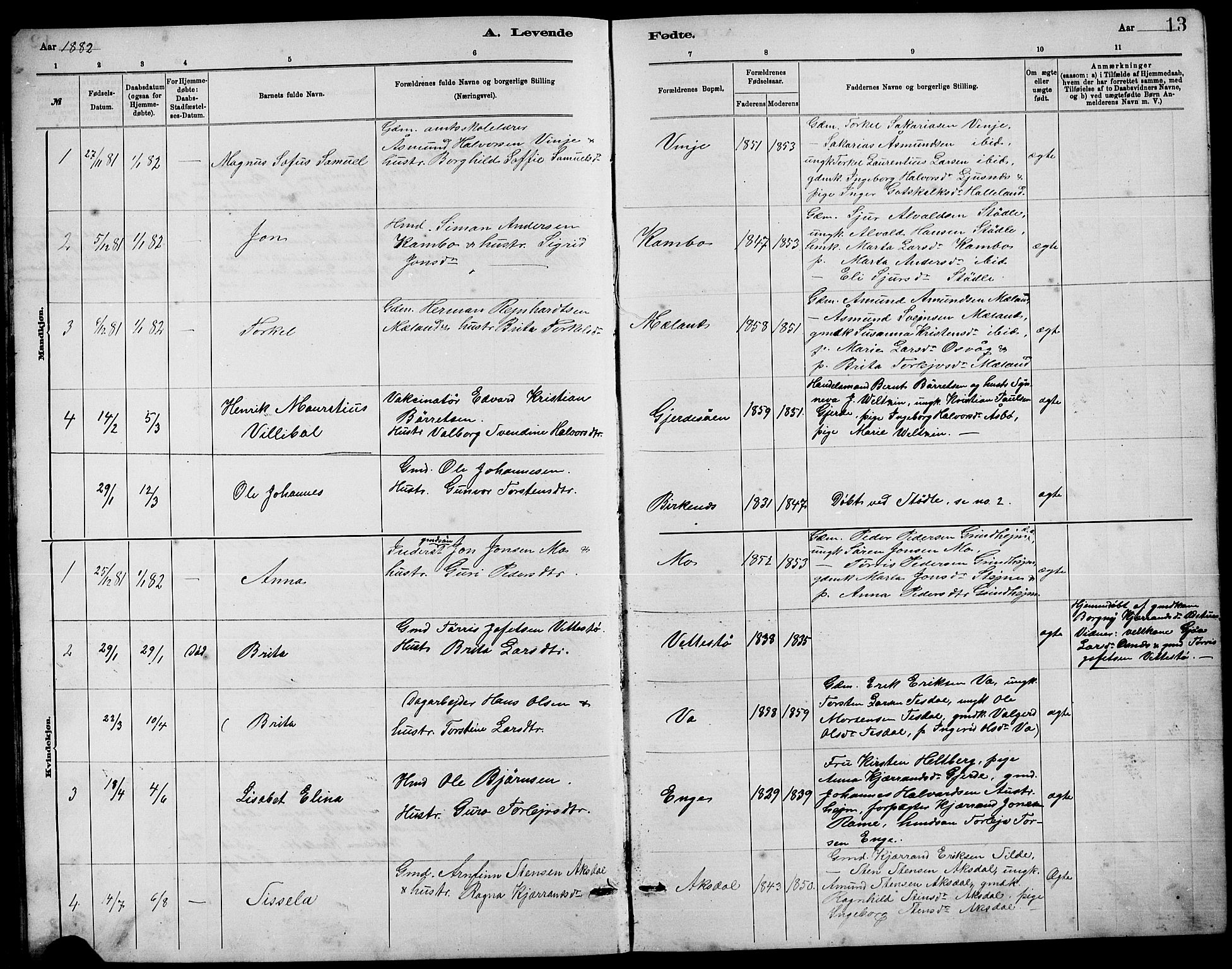 Etne sokneprestembete, SAB/A-75001/H/Hab: Parish register (copy) no. B 4, 1879-1897, p. 13