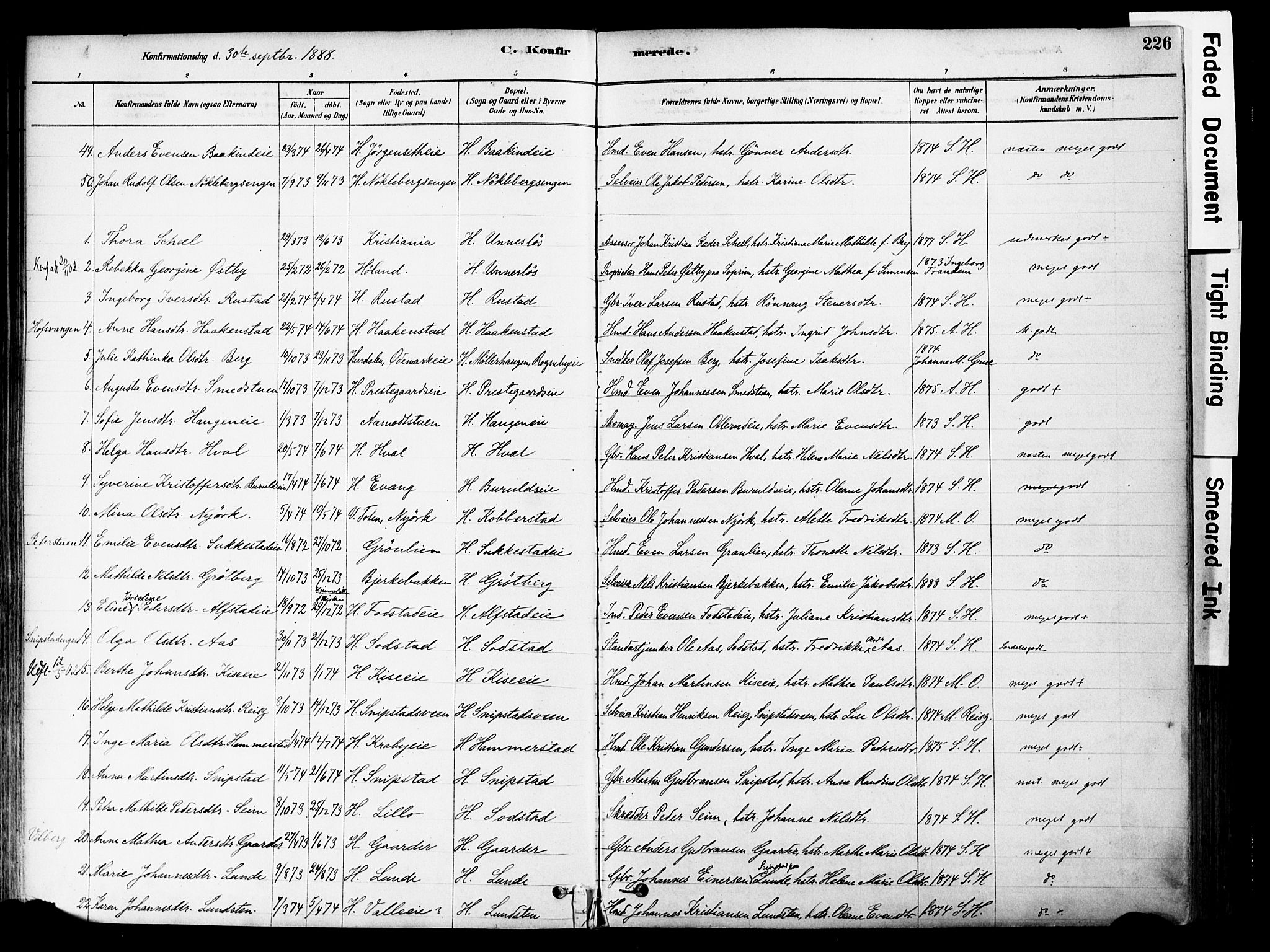 Østre Toten prestekontor, AV/SAH-PREST-104/H/Ha/Haa/L0006: Parish register (official) no. 6 /1, 1878-1896, p. 226