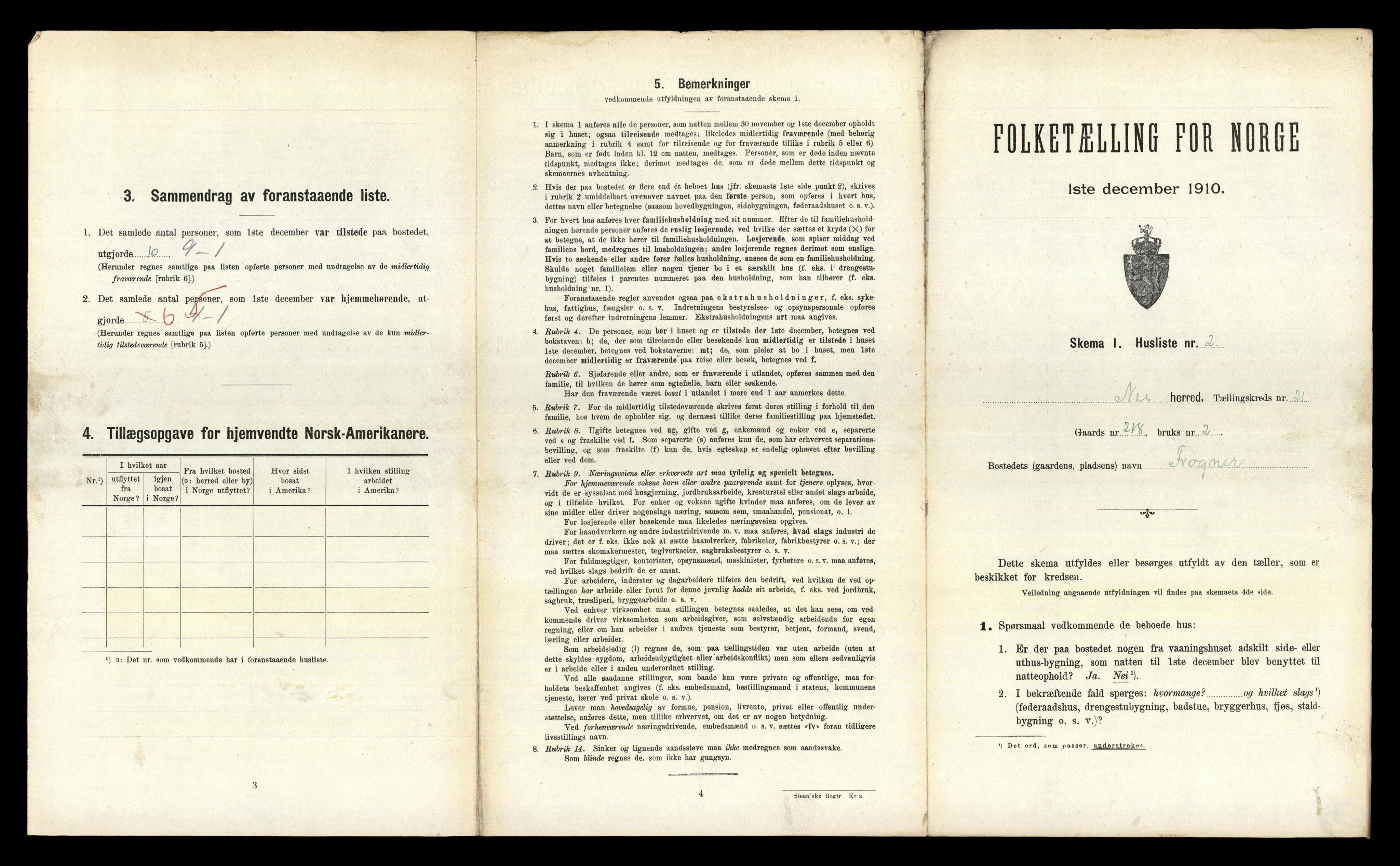 RA, 1910 census for Nes, 1910, p. 2914