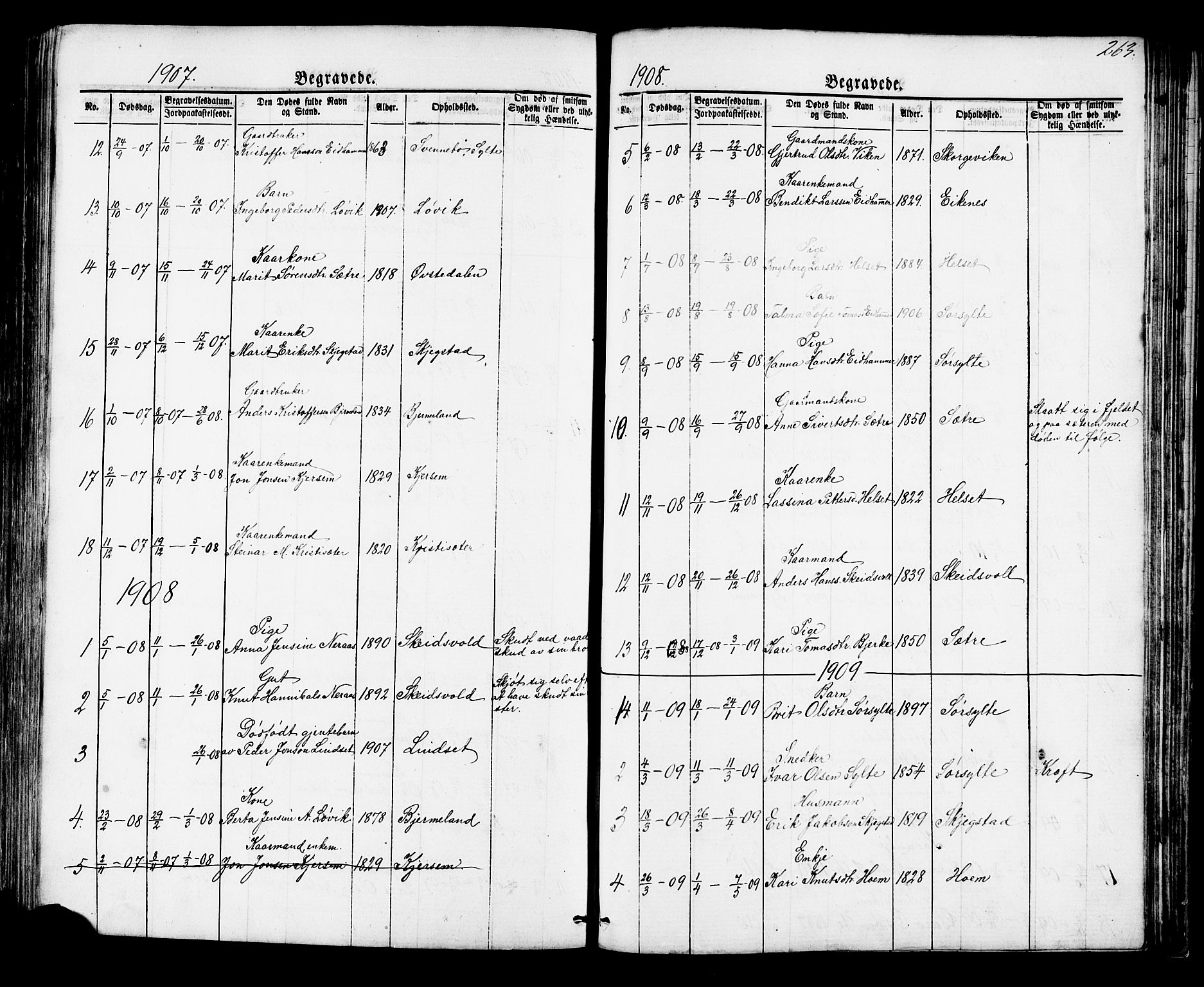 Ministerialprotokoller, klokkerbøker og fødselsregistre - Møre og Romsdal, AV/SAT-A-1454/541/L0547: Parish register (copy) no. 541C02, 1867-1921, p. 263