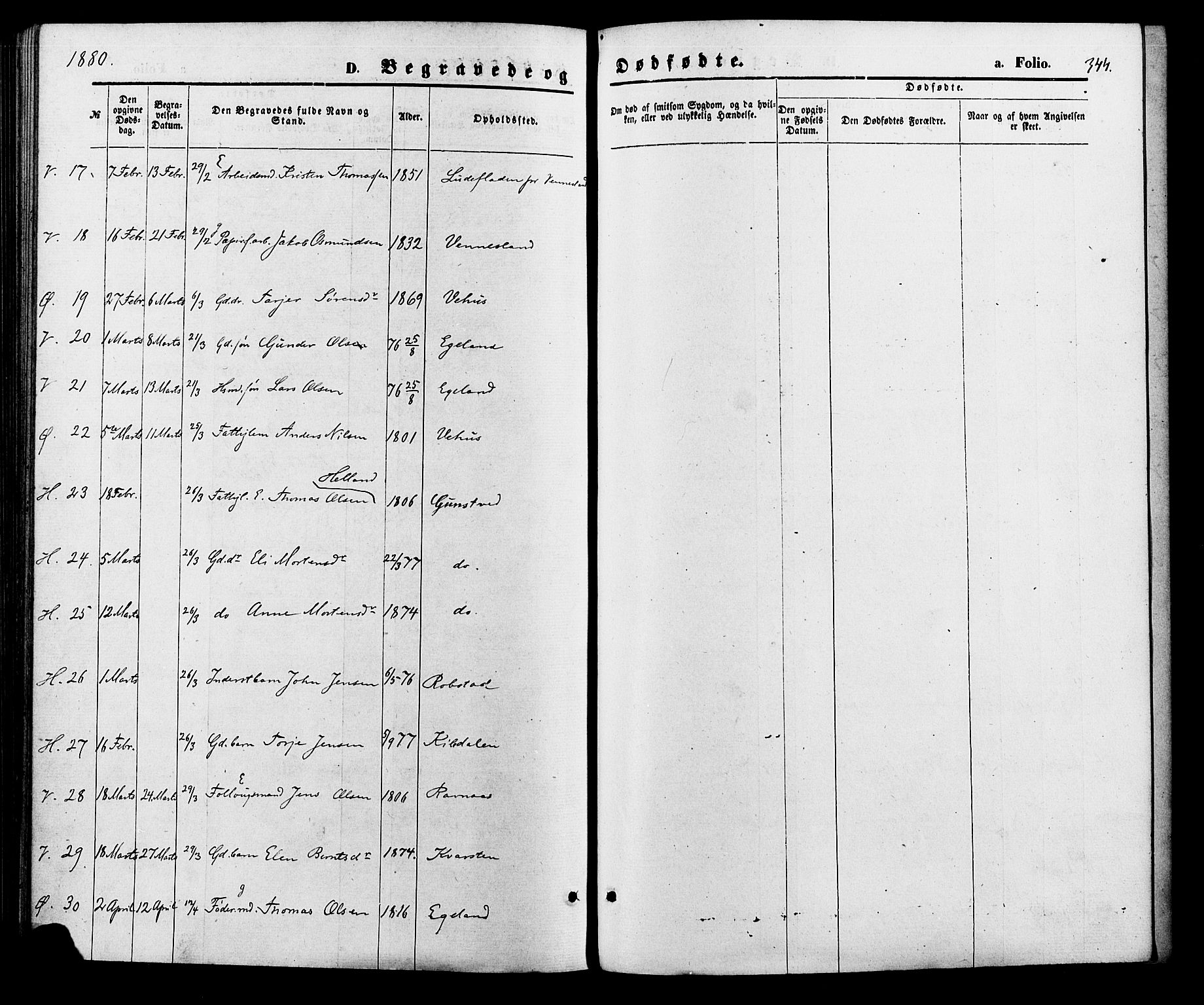 Vennesla sokneprestkontor, AV/SAK-1111-0045/Fa/Fac/L0008: Parish register (official) no. A 8, 1874-1883, p. 344