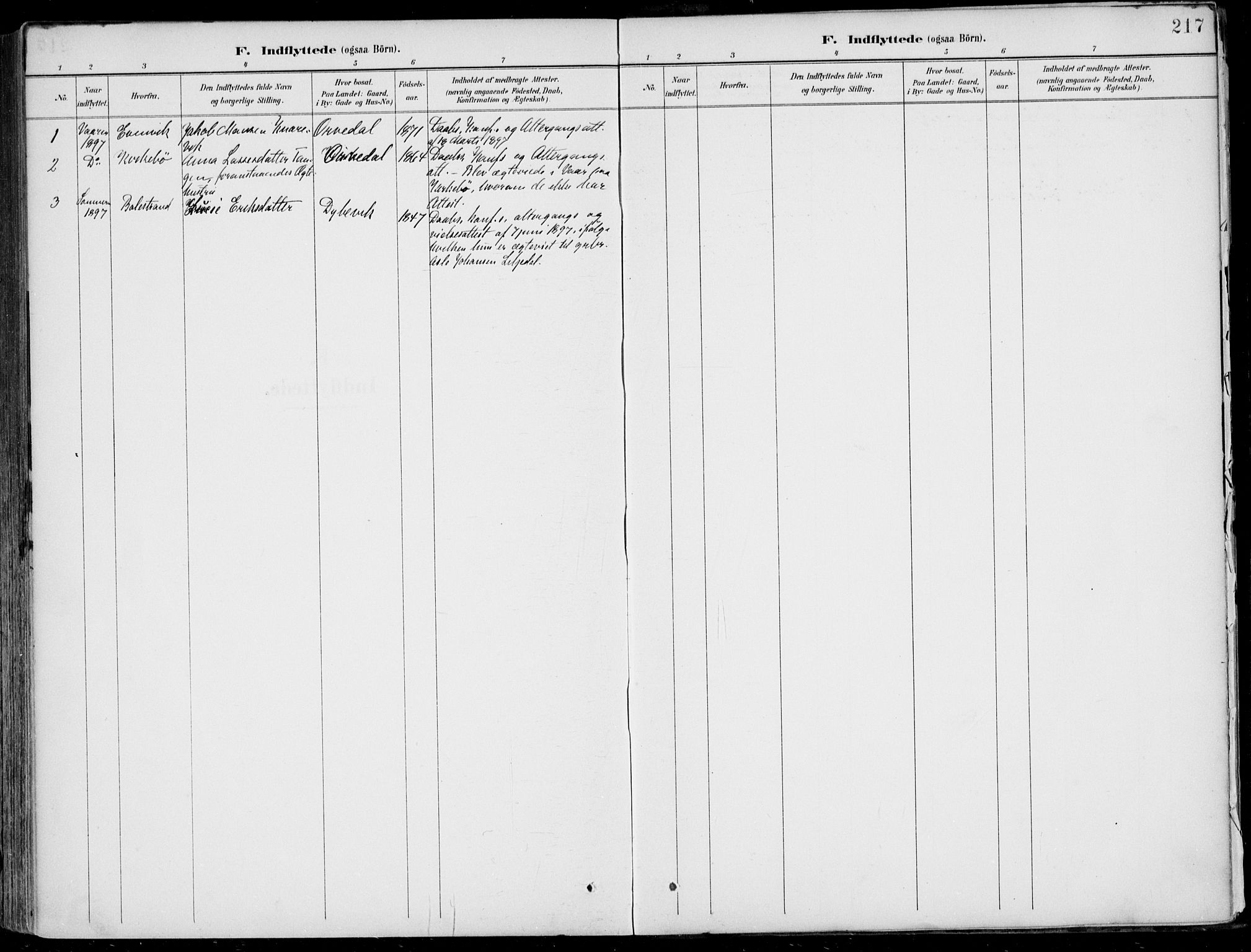 Vik sokneprestembete, AV/SAB-A-81501/H/Haa/Haab/L0002: Parish register (official) no. B  2, 1891-1907, p. 217