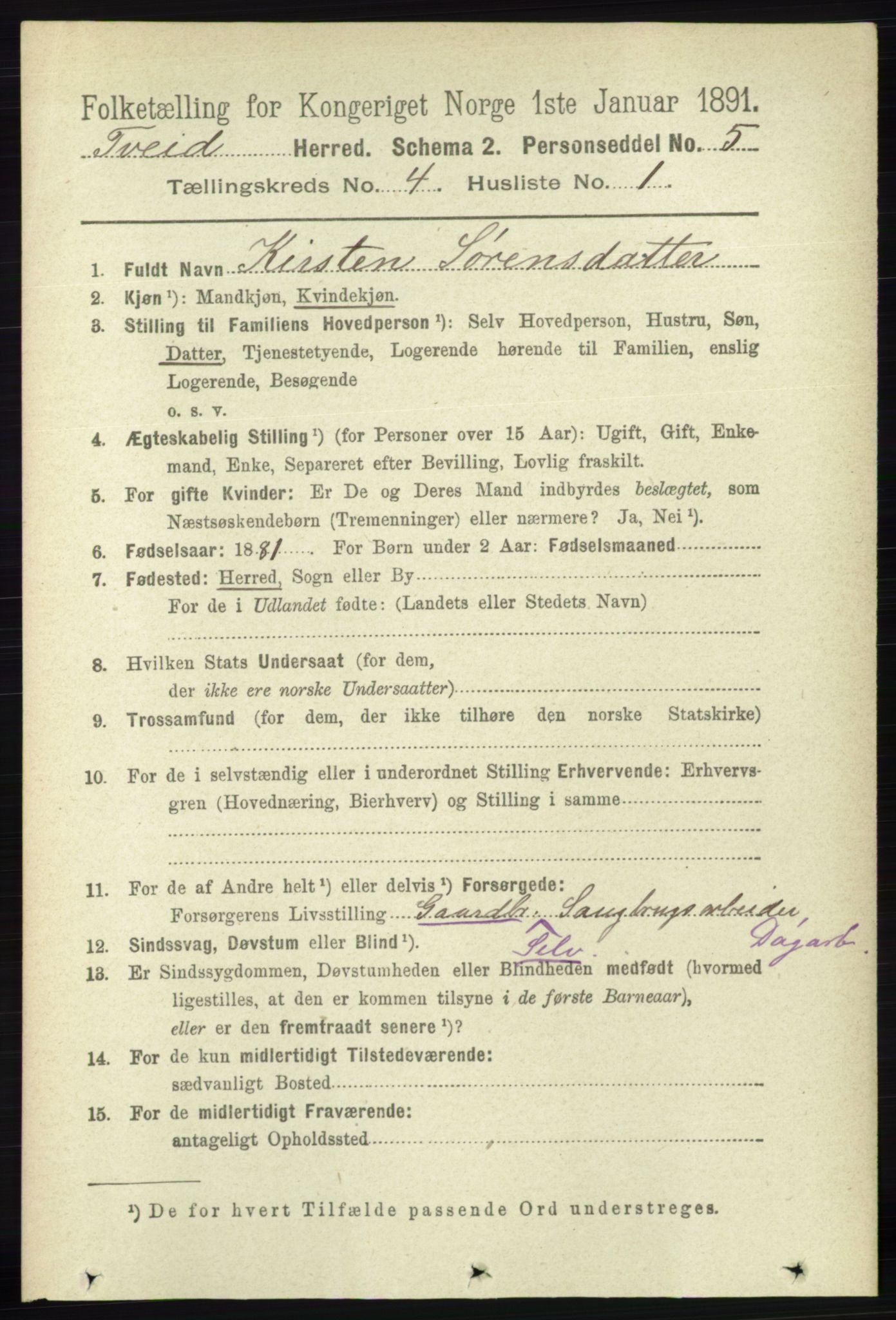 RA, 1891 census for 1013 Tveit, 1891, p. 1810