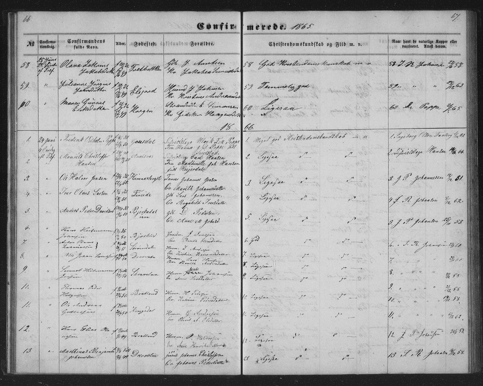 Ministerialprotokoller, klokkerbøker og fødselsregistre - Nordland, AV/SAT-A-1459/825/L0366: Parish register (copy) no. 825C03, 1858-1884, p. 66-67