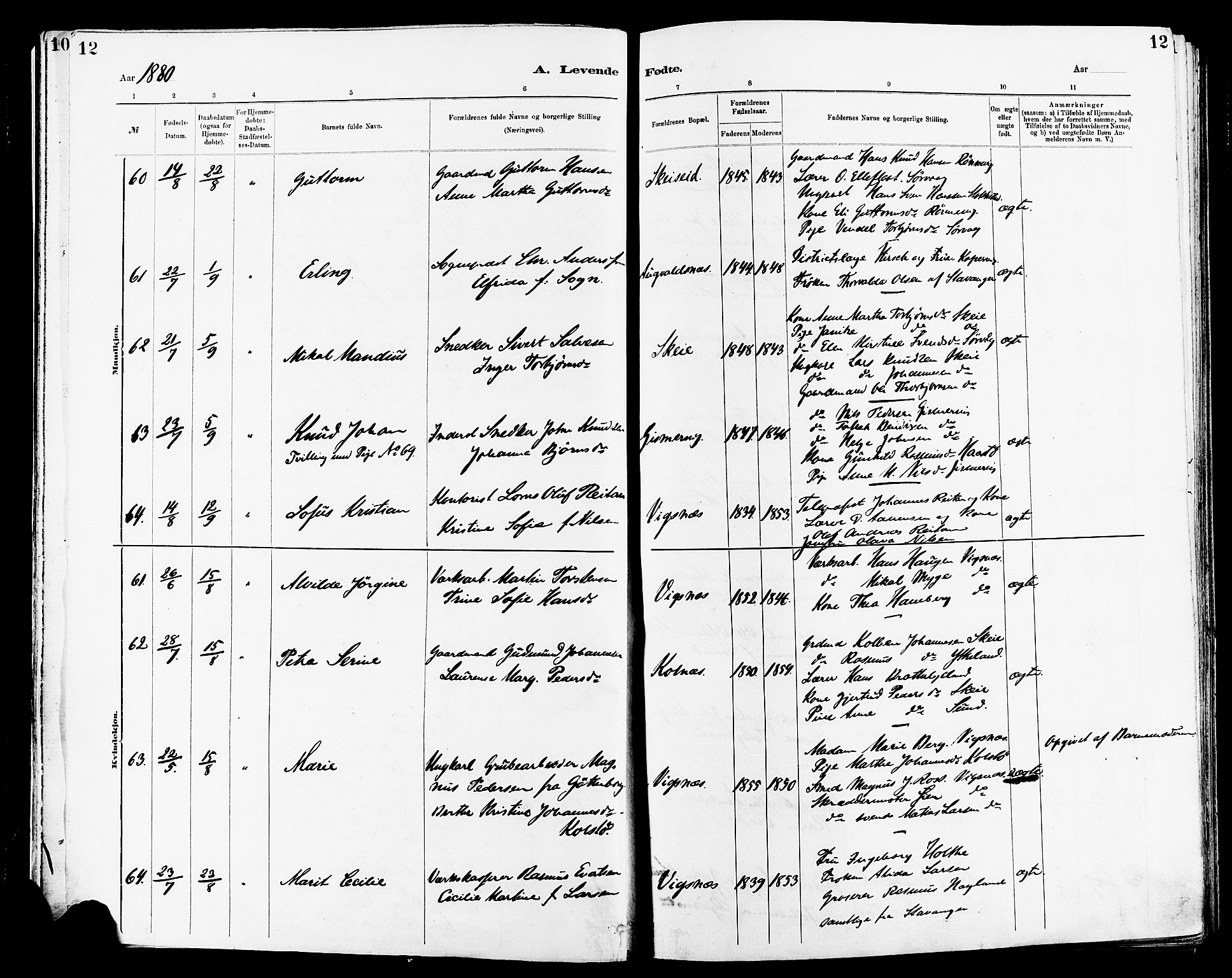 Avaldsnes sokneprestkontor, AV/SAST-A -101851/H/Ha/Haa/L0014: Parish register (official) no. A 14, 1880-1889, p. 12