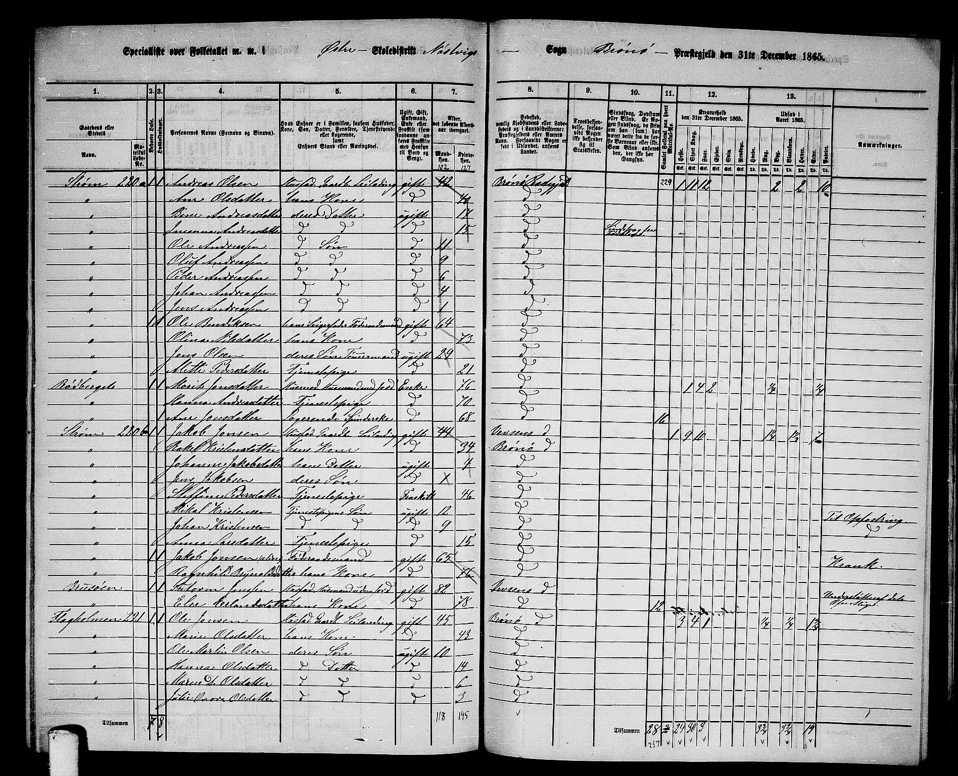 RA, 1865 census for Brønnøy, 1865, p. 201