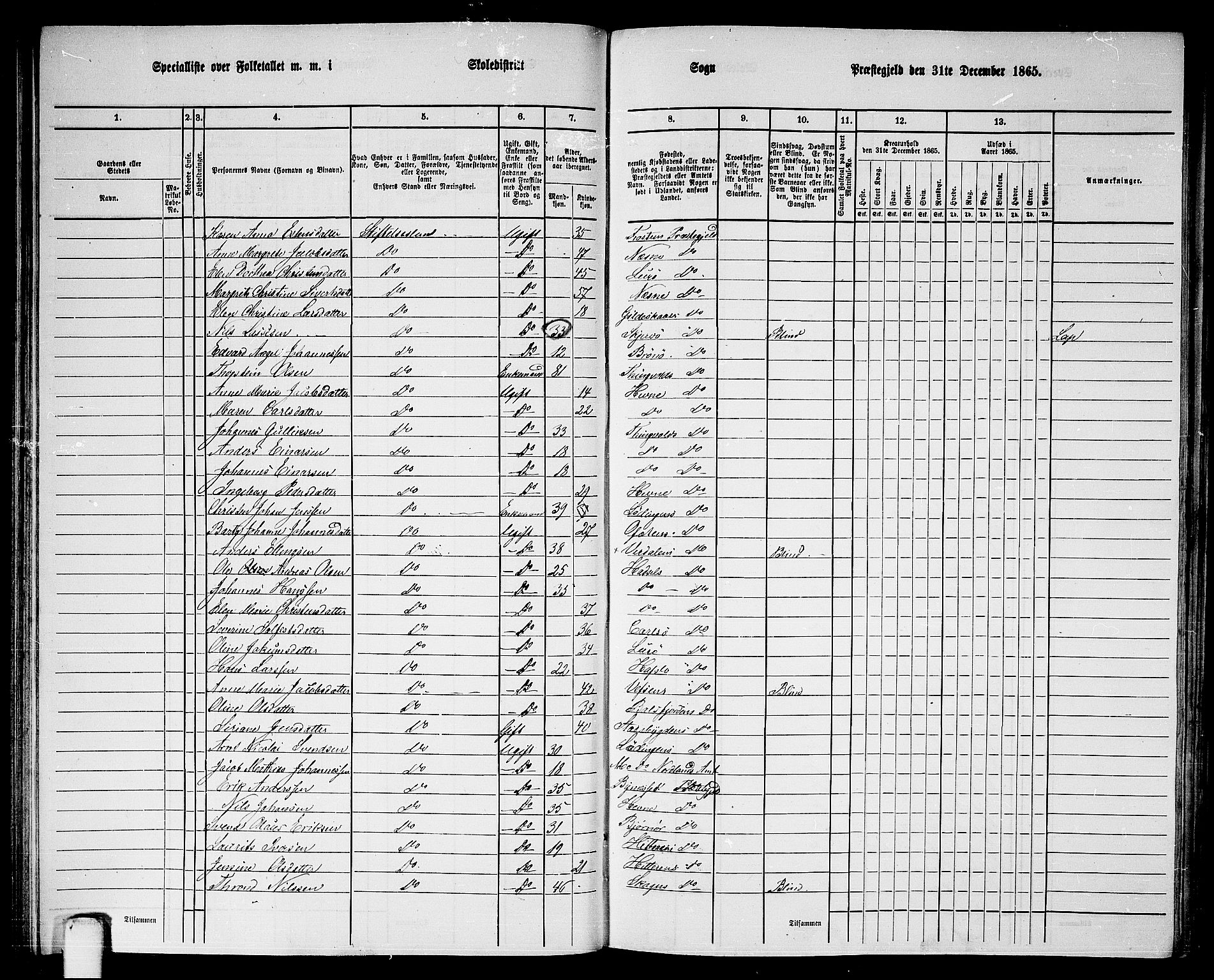 RA, 1865 census for Strinda, 1865, p. 96