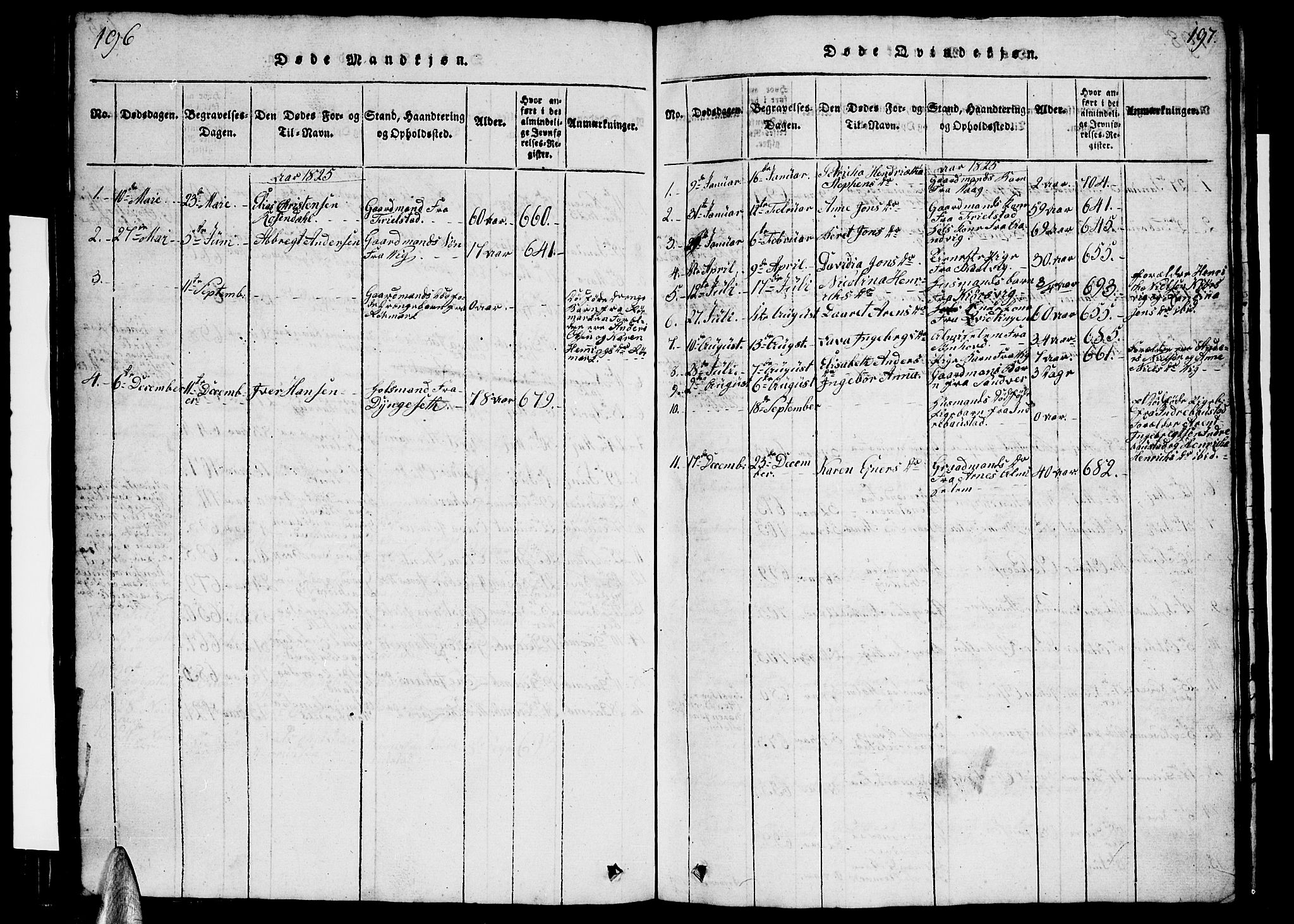 Ministerialprotokoller, klokkerbøker og fødselsregistre - Nordland, SAT/A-1459/812/L0186: Parish register (copy) no. 812C04, 1820-1849, p. 196-197