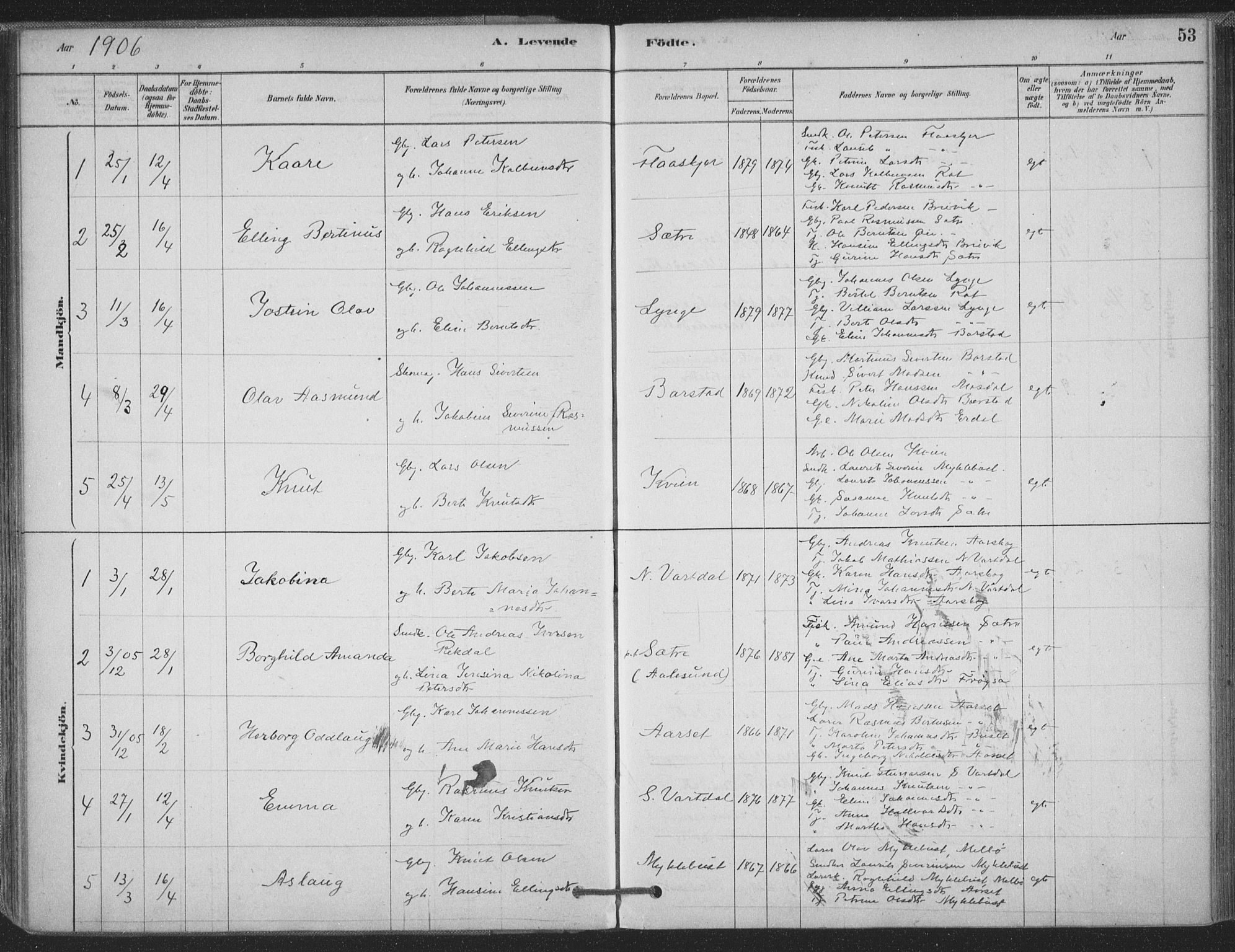 Ministerialprotokoller, klokkerbøker og fødselsregistre - Møre og Romsdal, AV/SAT-A-1454/514/L0199: Parish register (official) no. 514A01, 1878-1912, p. 53