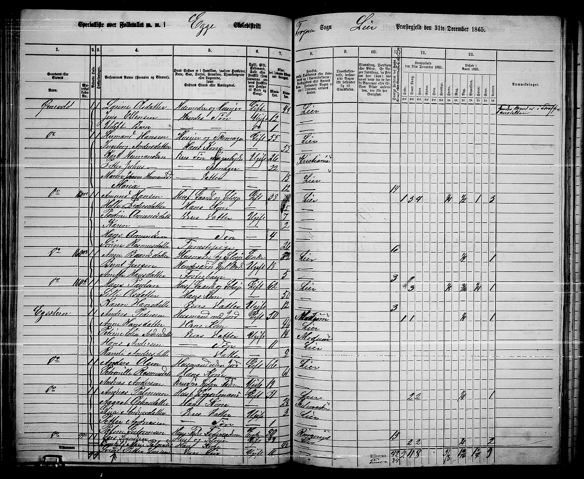 RA, 1865 census for Lier, 1865, p. 92