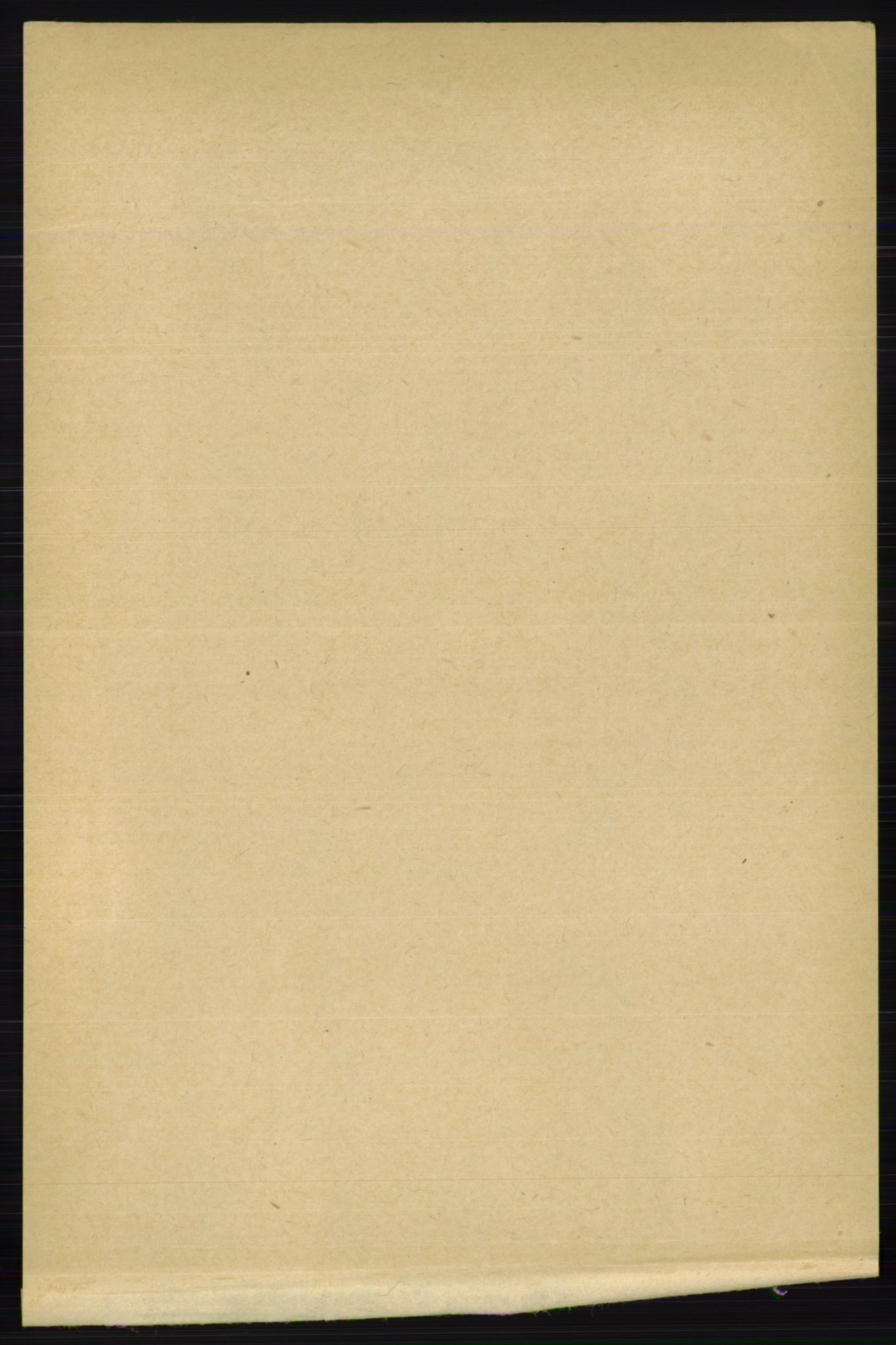 RA, 1891 census for 0219 Bærum, 1891, p. 1071
