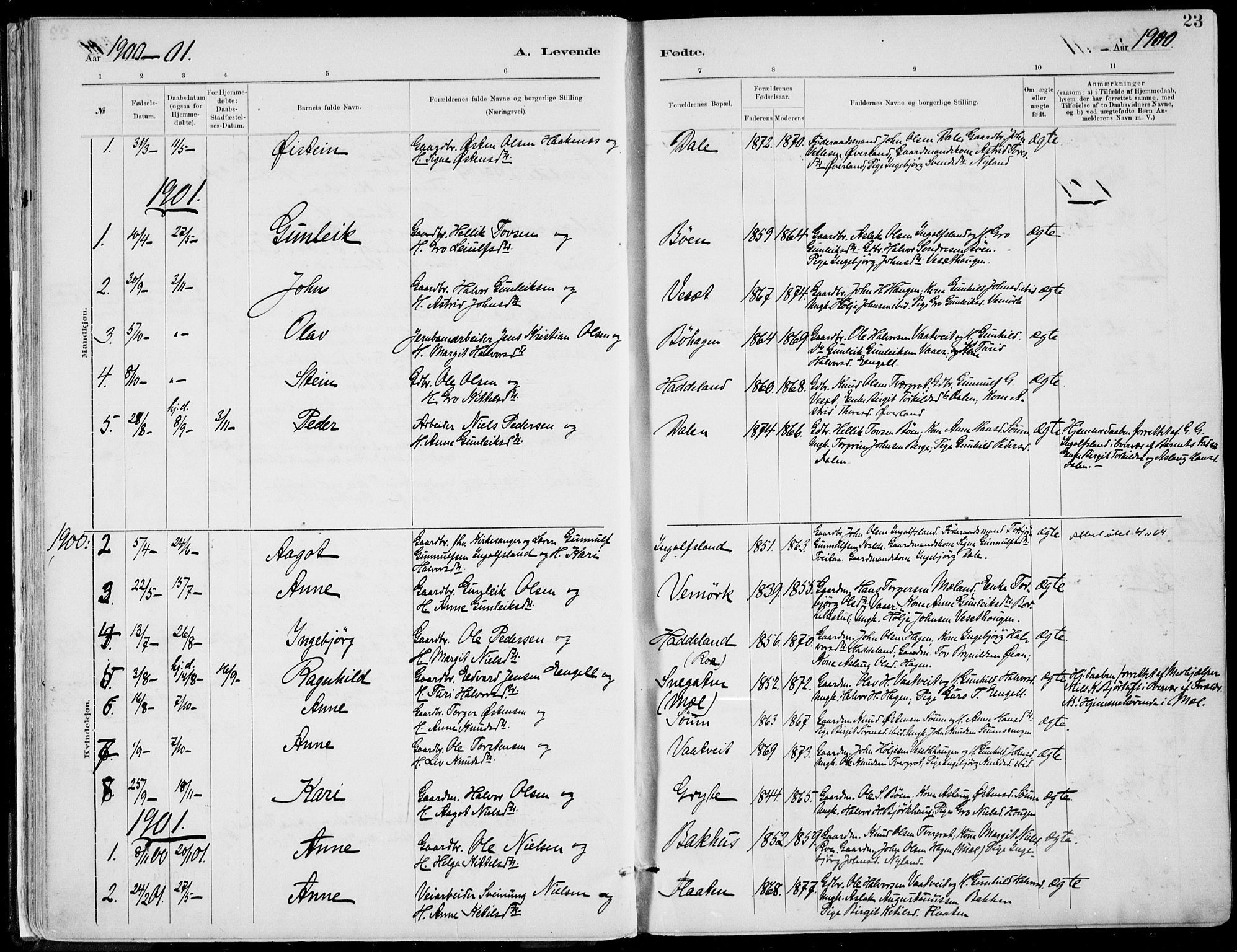 Rjukan kirkebøker, SAKO/A-294/F/Fa/L0001: Parish register (official) no. 1, 1878-1912, p. 23