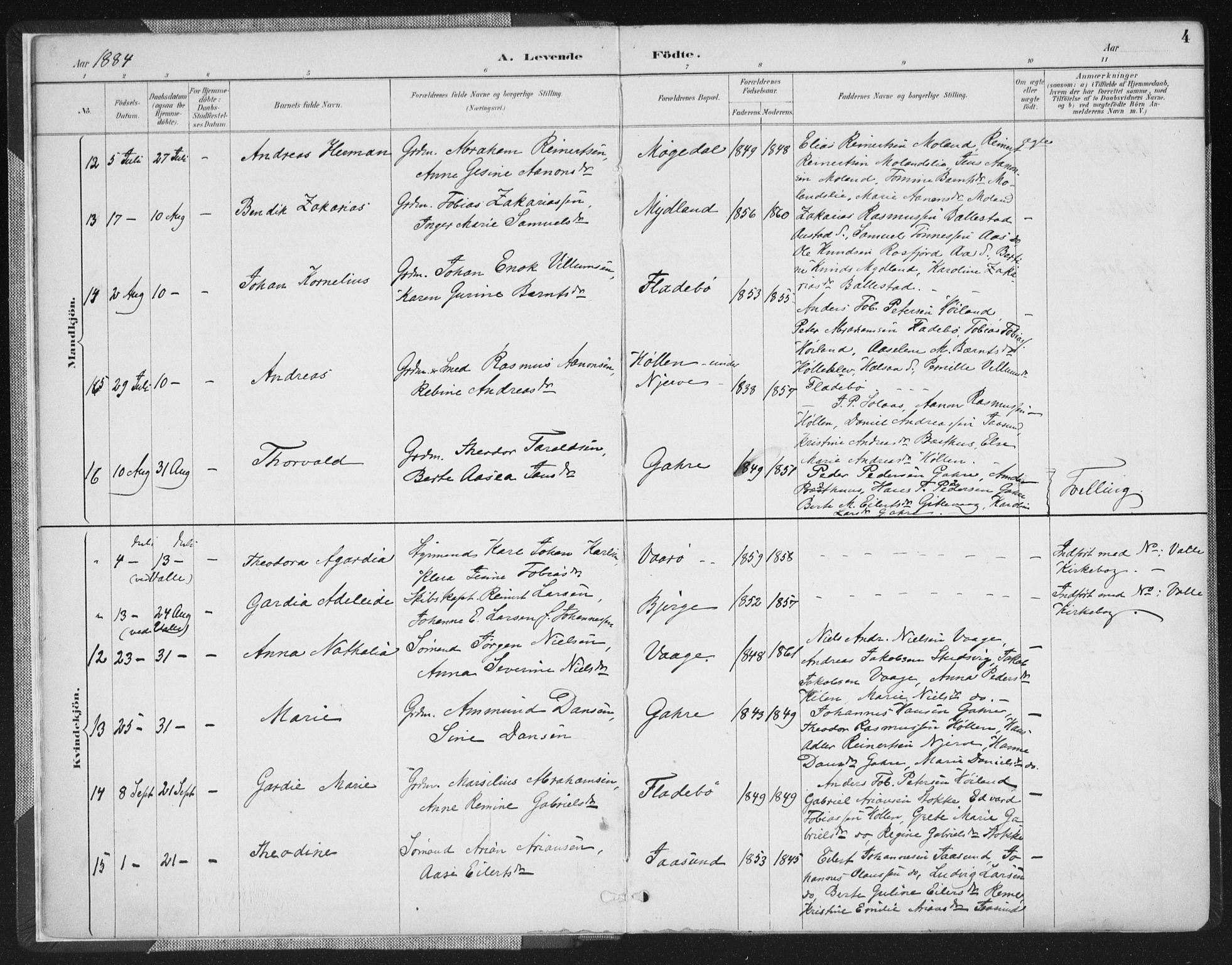 Sør-Audnedal sokneprestkontor, AV/SAK-1111-0039/F/Fa/Faa/L0004: Parish register (official) no. A 4, 1884-1909, p. 4