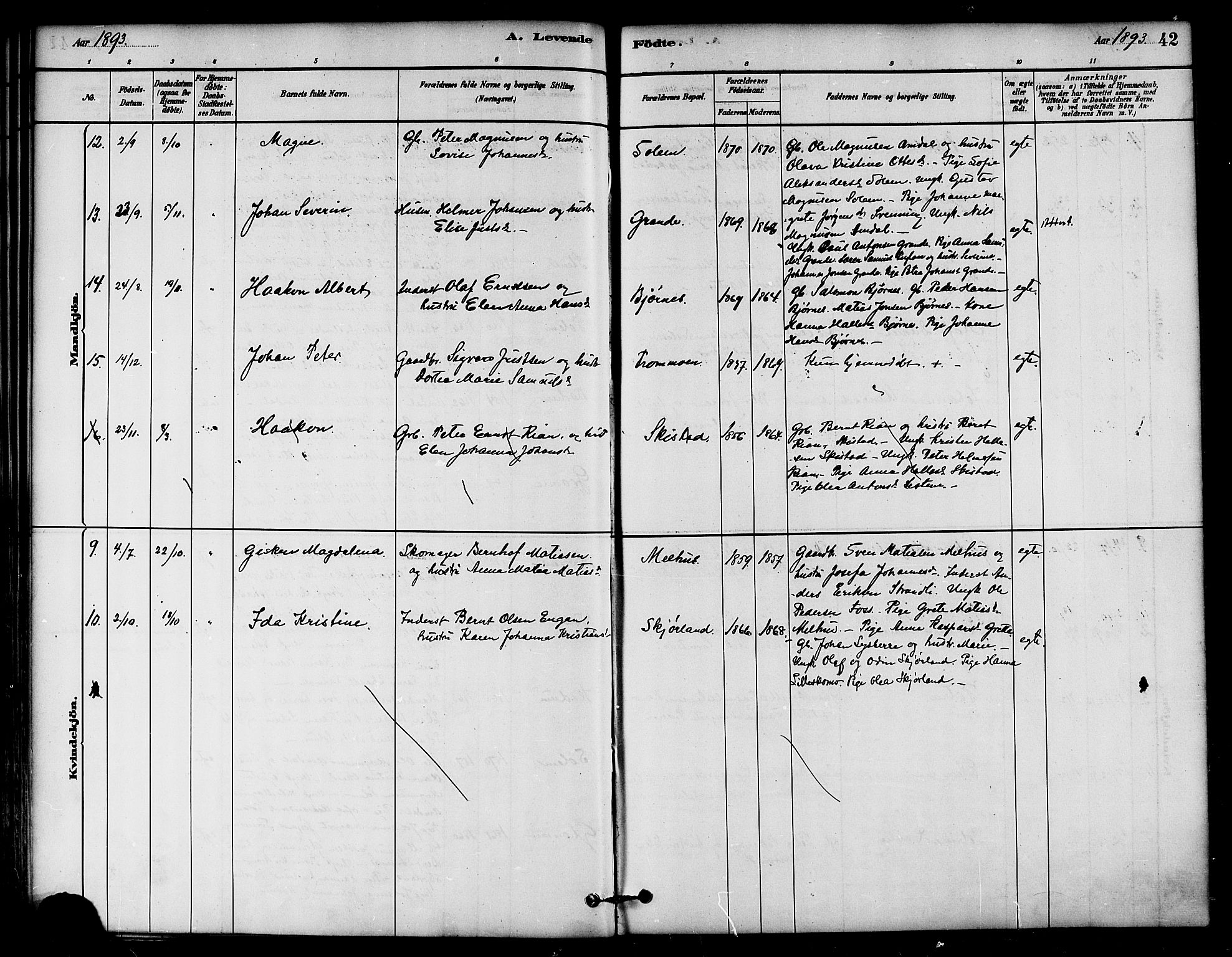 Ministerialprotokoller, klokkerbøker og fødselsregistre - Nord-Trøndelag, AV/SAT-A-1458/764/L0555: Parish register (official) no. 764A10, 1881-1896, p. 42