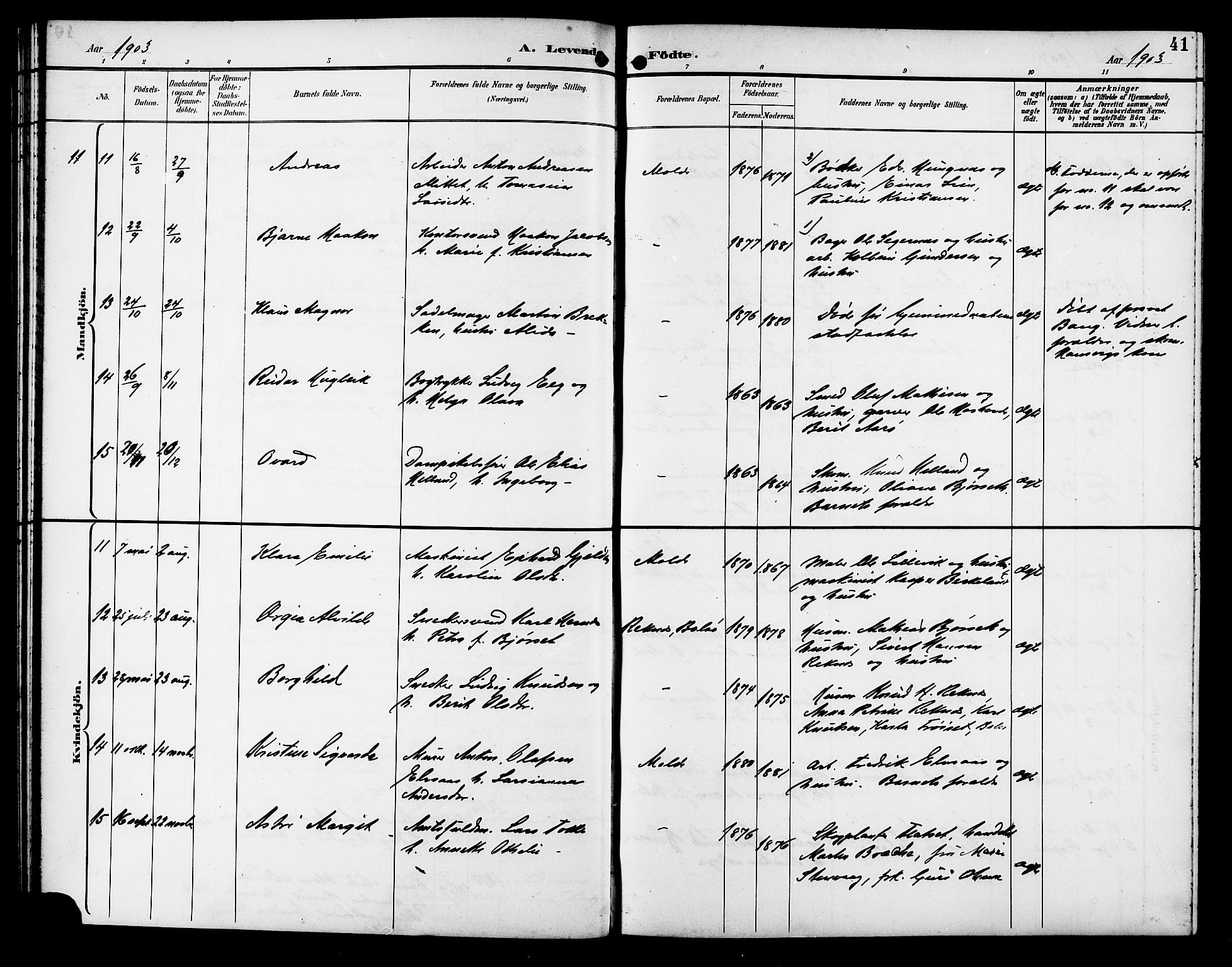 Ministerialprotokoller, klokkerbøker og fødselsregistre - Møre og Romsdal, AV/SAT-A-1454/558/L0702: Parish register (copy) no. 558C03, 1894-1915, p. 41