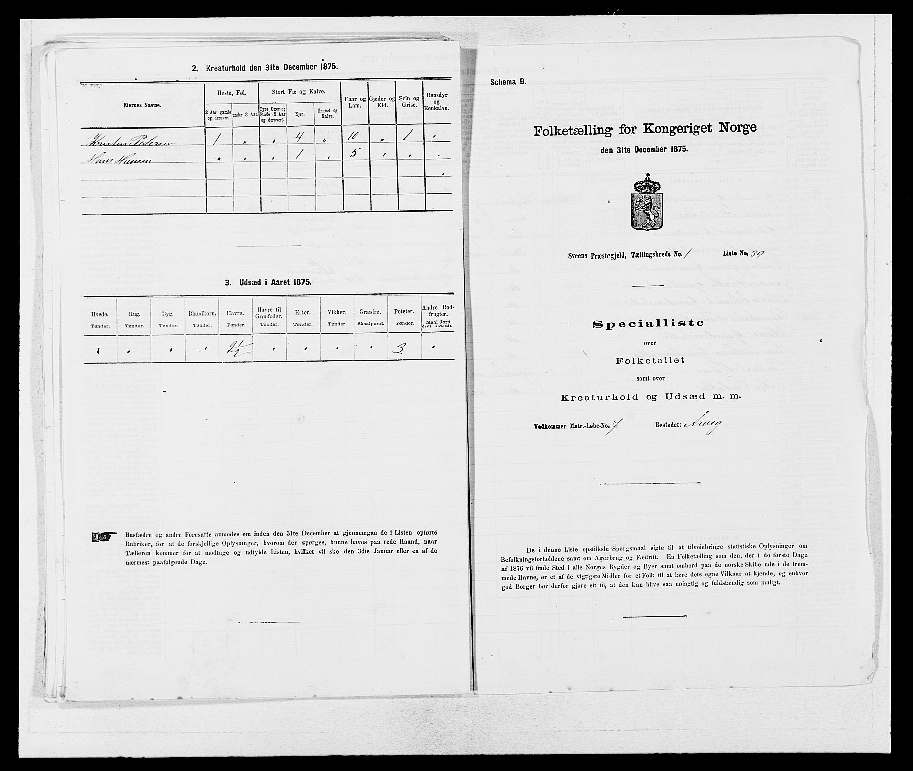 SAB, 1875 census for 1216P Sveio, 1875, p. 126