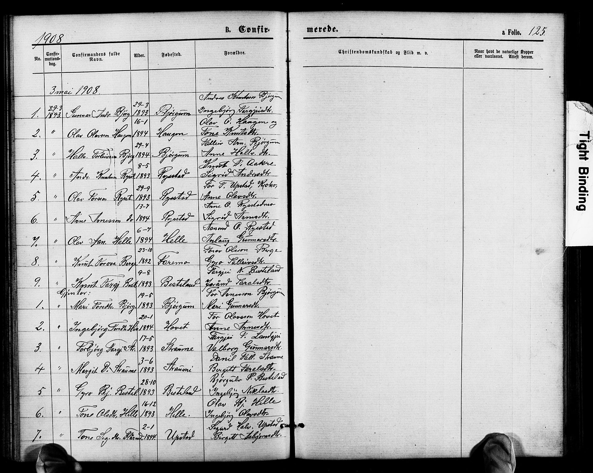 Valle sokneprestkontor, SAK/1111-0044/F/Fb/Fbb/L0002: Parish register (copy) no. B 2, 1875-1921, p. 125