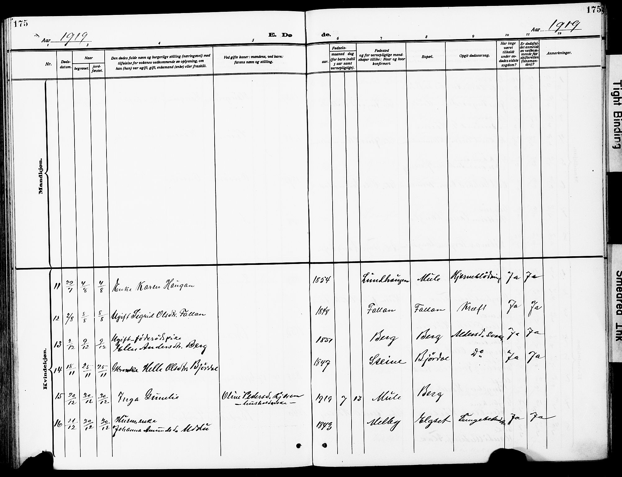 Ministerialprotokoller, klokkerbøker og fødselsregistre - Sør-Trøndelag, AV/SAT-A-1456/612/L0388: Parish register (copy) no. 612C04, 1909-1929, p. 175