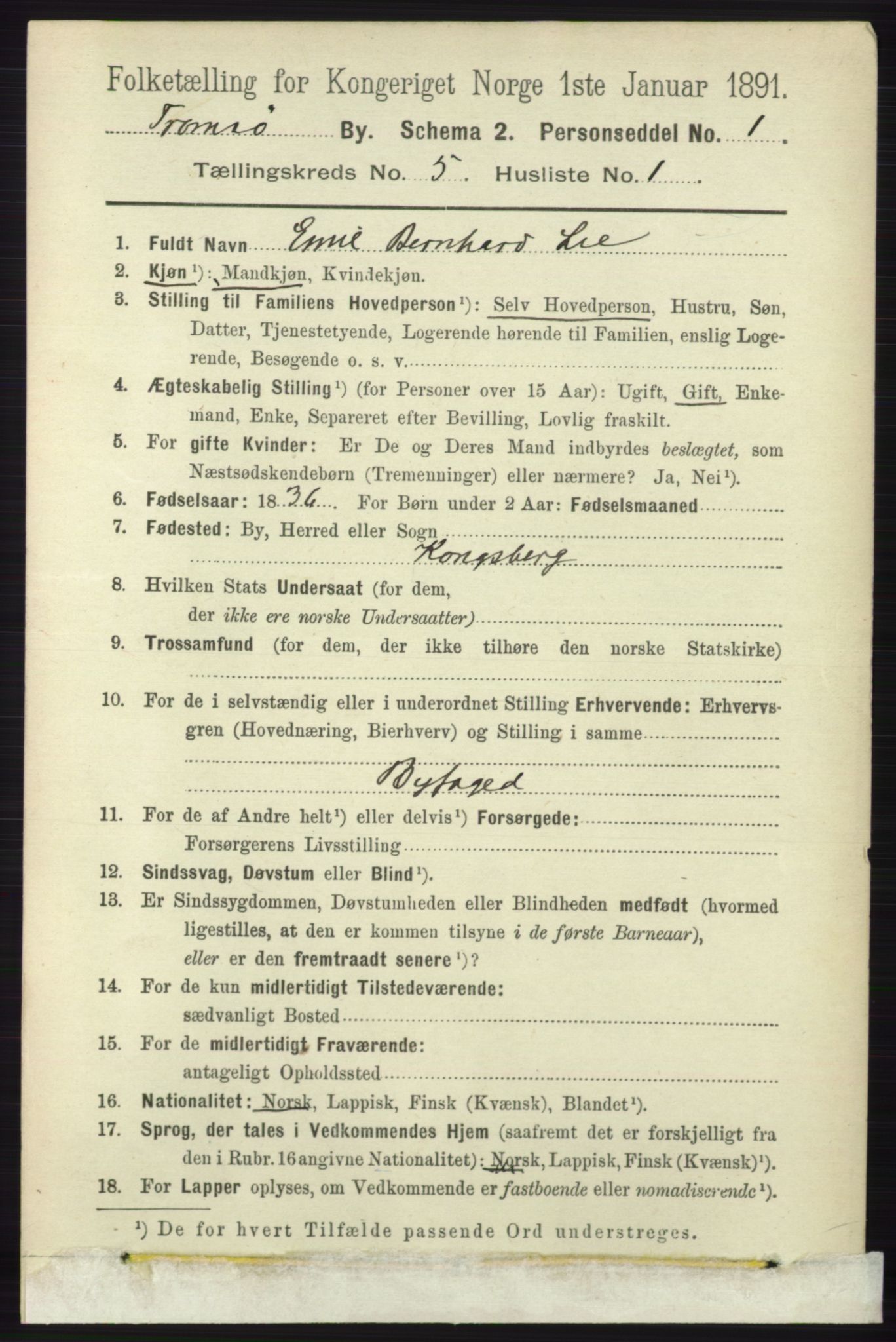 RA, 1891 census for 1902 Tromsø, 1891, p. 4851