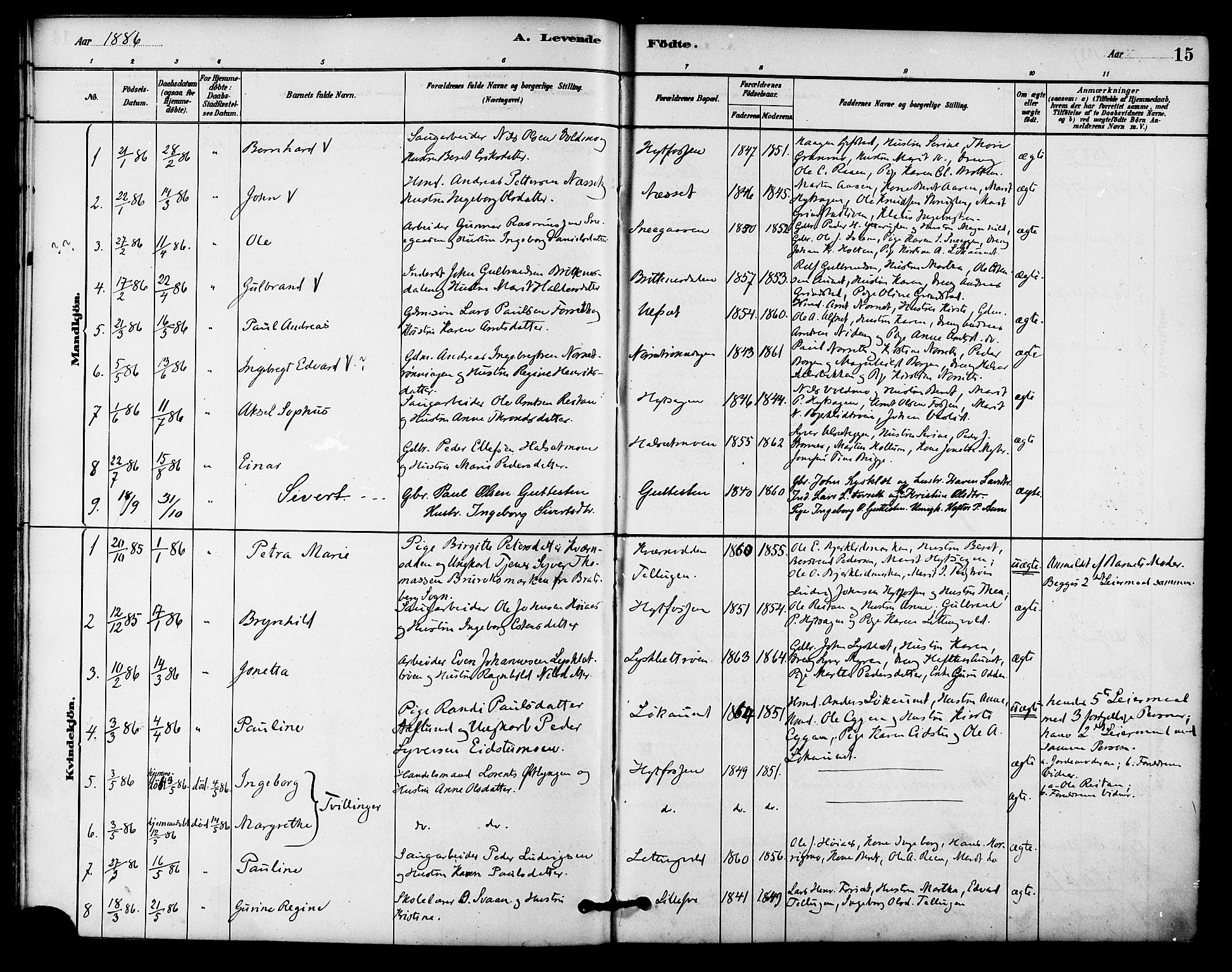 Ministerialprotokoller, klokkerbøker og fødselsregistre - Sør-Trøndelag, SAT/A-1456/618/L0444: Parish register (official) no. 618A07, 1880-1898, p. 15