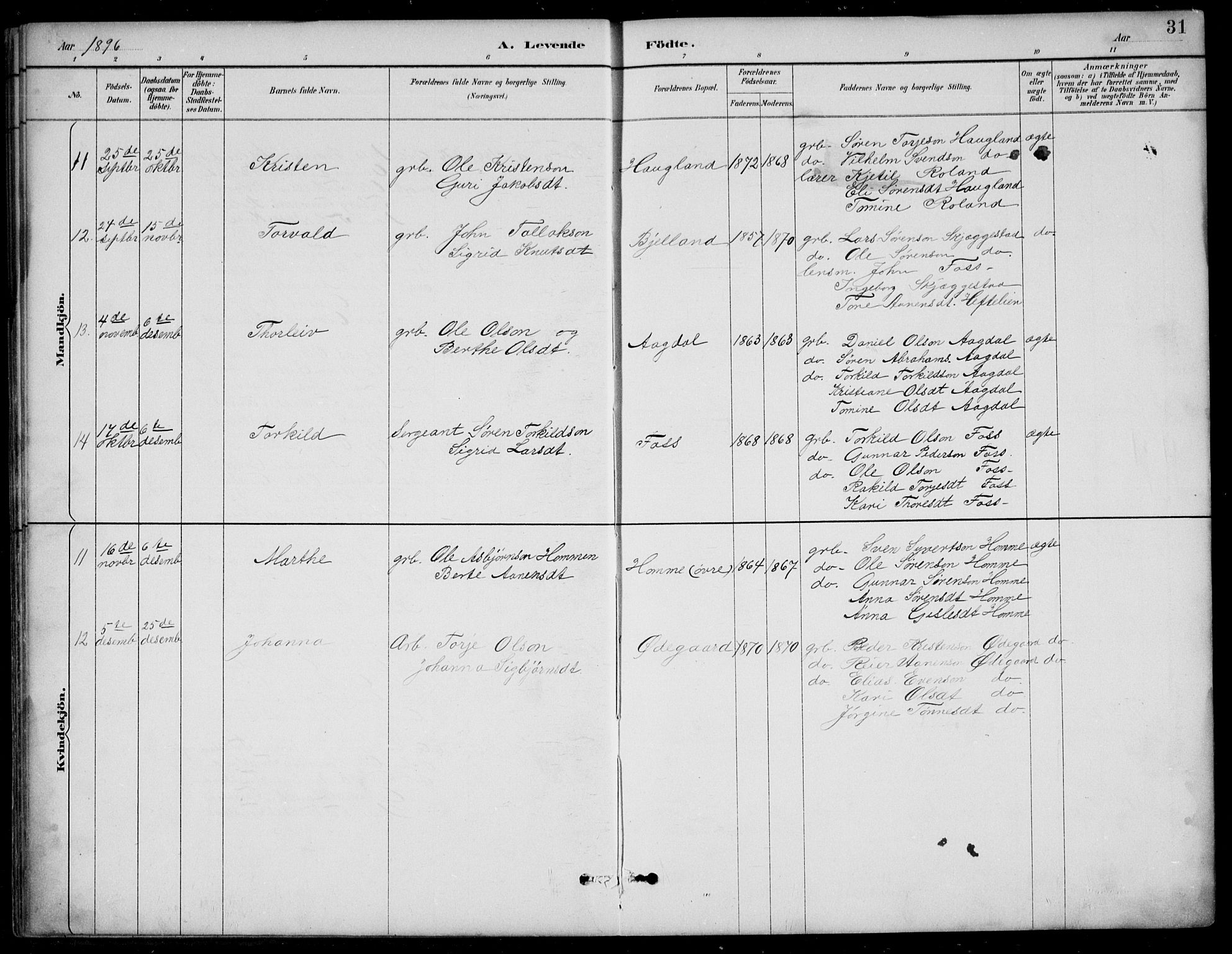 Bjelland sokneprestkontor, AV/SAK-1111-0005/F/Fb/Fba/L0005: Parish register (copy) no. B 5, 1887-1923, p. 31