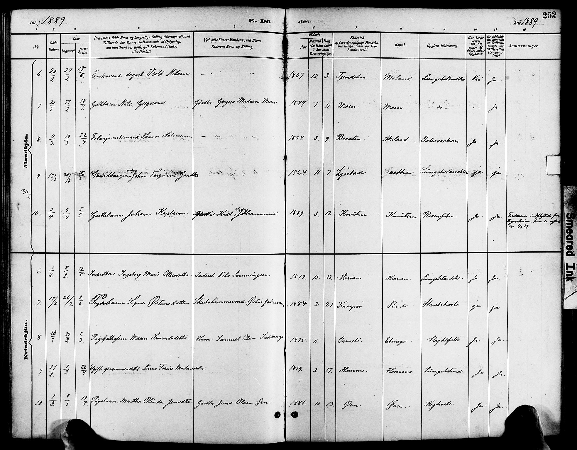 Søndeled sokneprestkontor, AV/SAK-1111-0038/F/Fa/L0005: Parish register (official) no. A 5, 1889-1899, p. 252