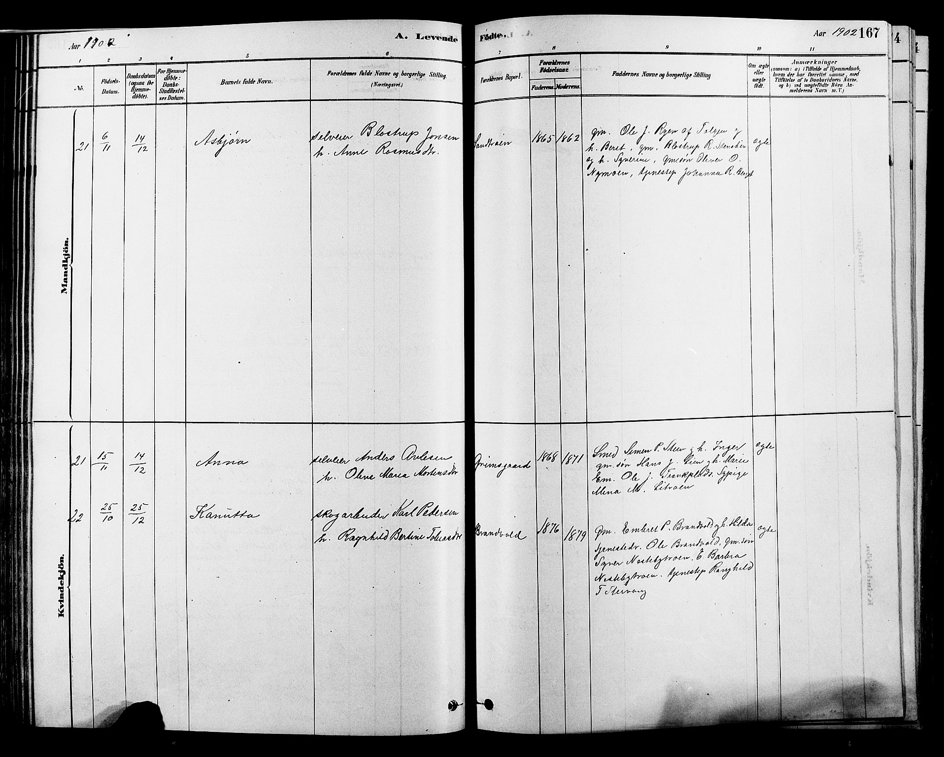 Alvdal prestekontor, SAH/PREST-060/H/Ha/Hab/L0003: Parish register (copy) no. 3, 1878-1907, p. 167