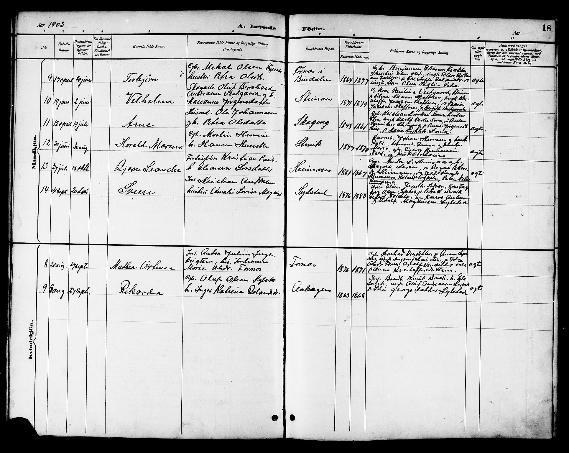Ministerialprotokoller, klokkerbøker og fødselsregistre - Nord-Trøndelag, SAT/A-1458/783/L0662: Parish register (copy) no. 783C02, 1894-1919, p. 18