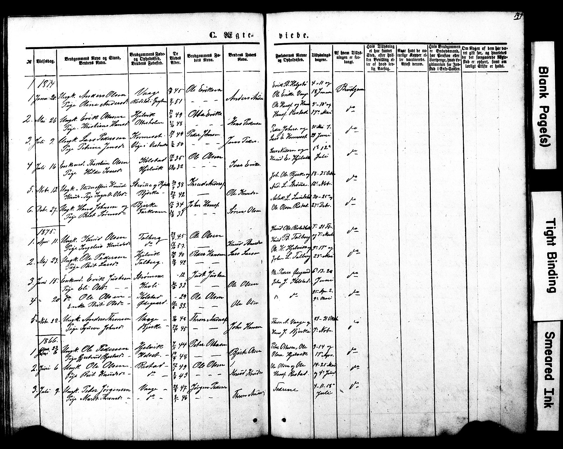 Ministerialprotokoller, klokkerbøker og fødselsregistre - Møre og Romsdal, SAT/A-1454/550/L0618: Parish register (copy) no. 550C01, 1870-1927, p. 194