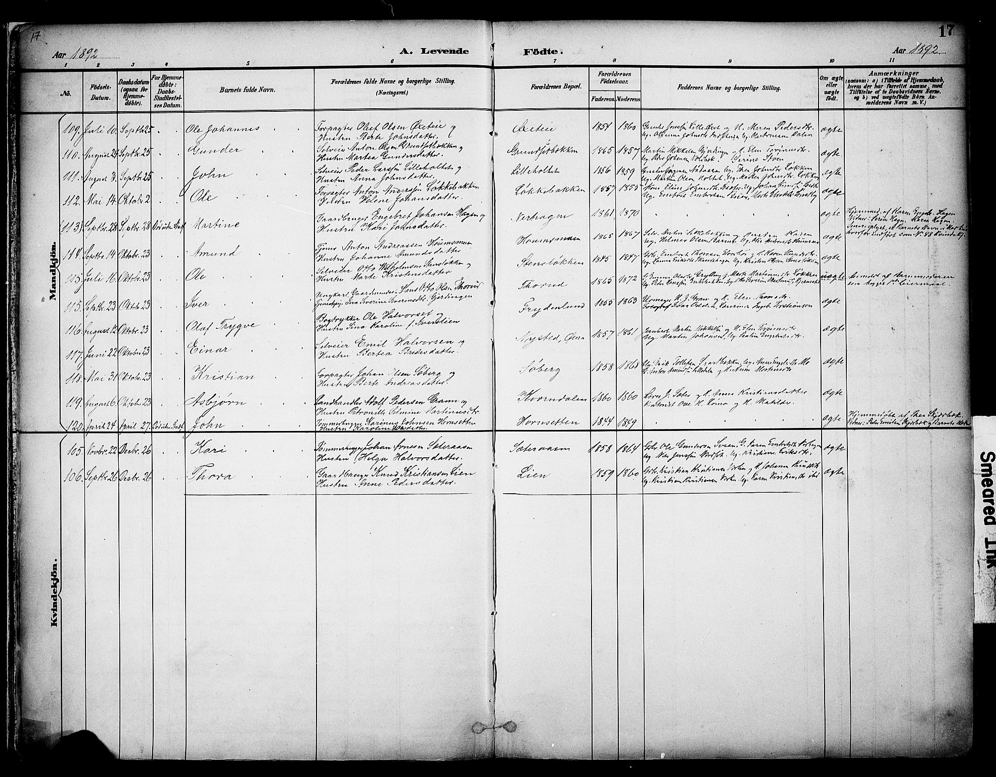 Elverum prestekontor, AV/SAH-PREST-044/H/Ha/Haa/L0014: Parish register (official) no. 14, 1891-1909, p. 17