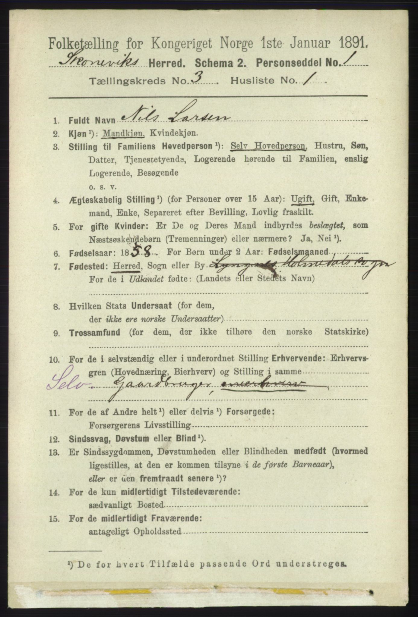 RA, 1891 census for 1212 Skånevik, 1891, p. 541