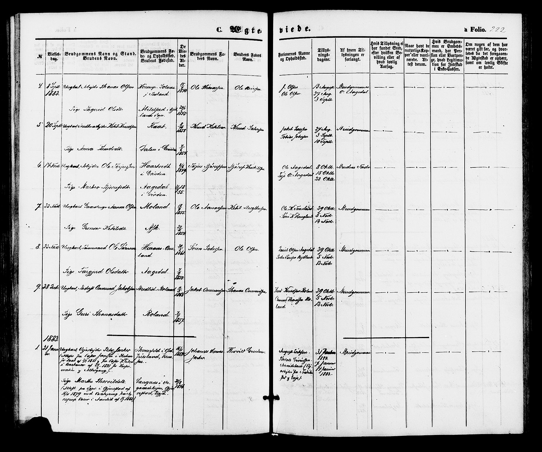 Bjelland sokneprestkontor, AV/SAK-1111-0005/F/Fa/Faa/L0003: Parish register (official) no. A 3, 1867-1887, p. 222