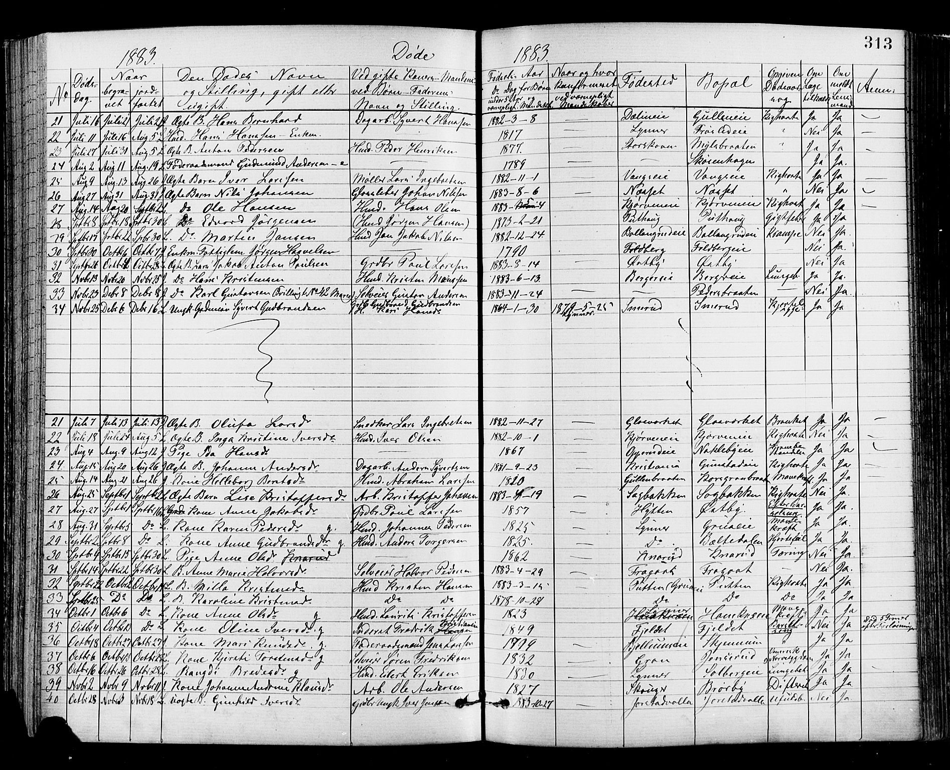 Jevnaker prestekontor, AV/SAH-PREST-116/H/Ha/Haa/L0008: Parish register (official) no. 8, 1877-1890, p. 313