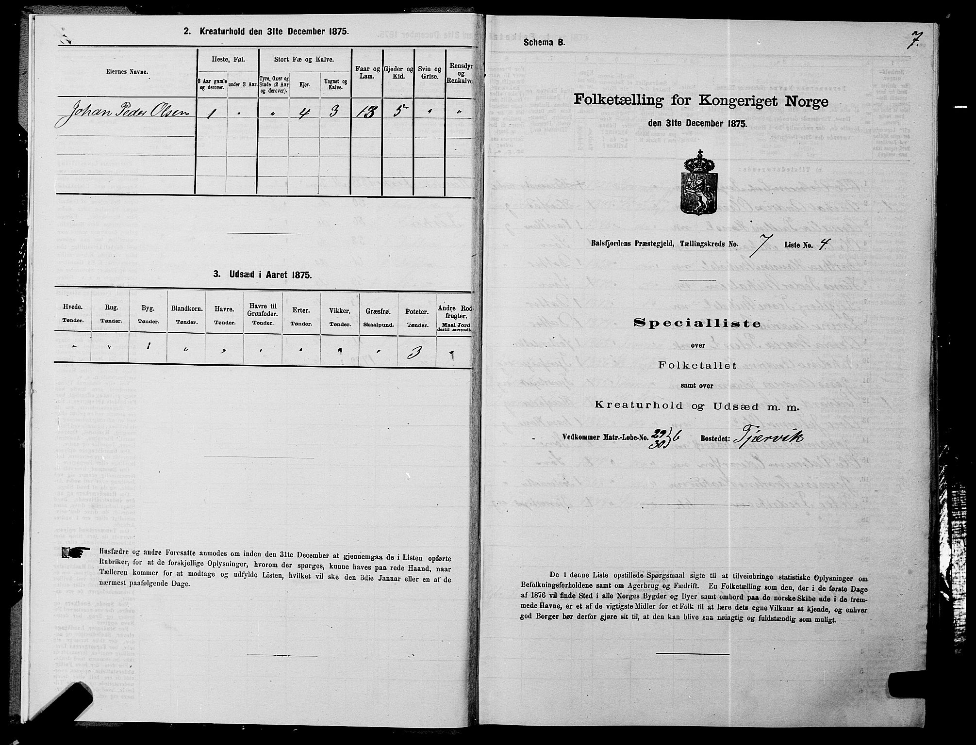 SATØ, 1875 census for 1933P Balsfjord, 1875, p. 4007