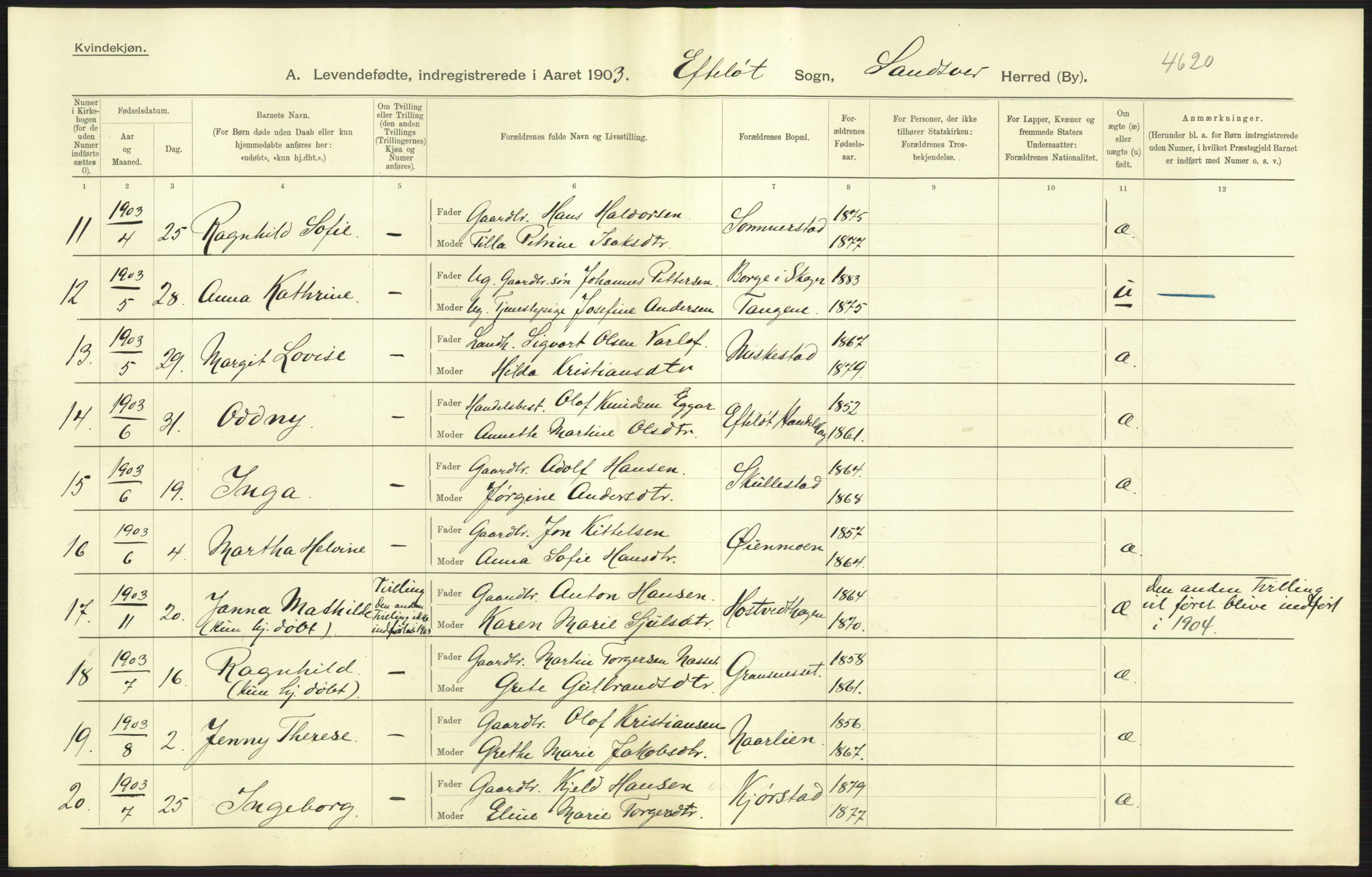 Statistisk sentralbyrå, Sosiodemografiske emner, Befolkning, AV/RA-S-2228/D/Df/Dfa/Dfaa/L0007: Buskeruds amt: Fødte, gifte, døde, 1903, p. 37