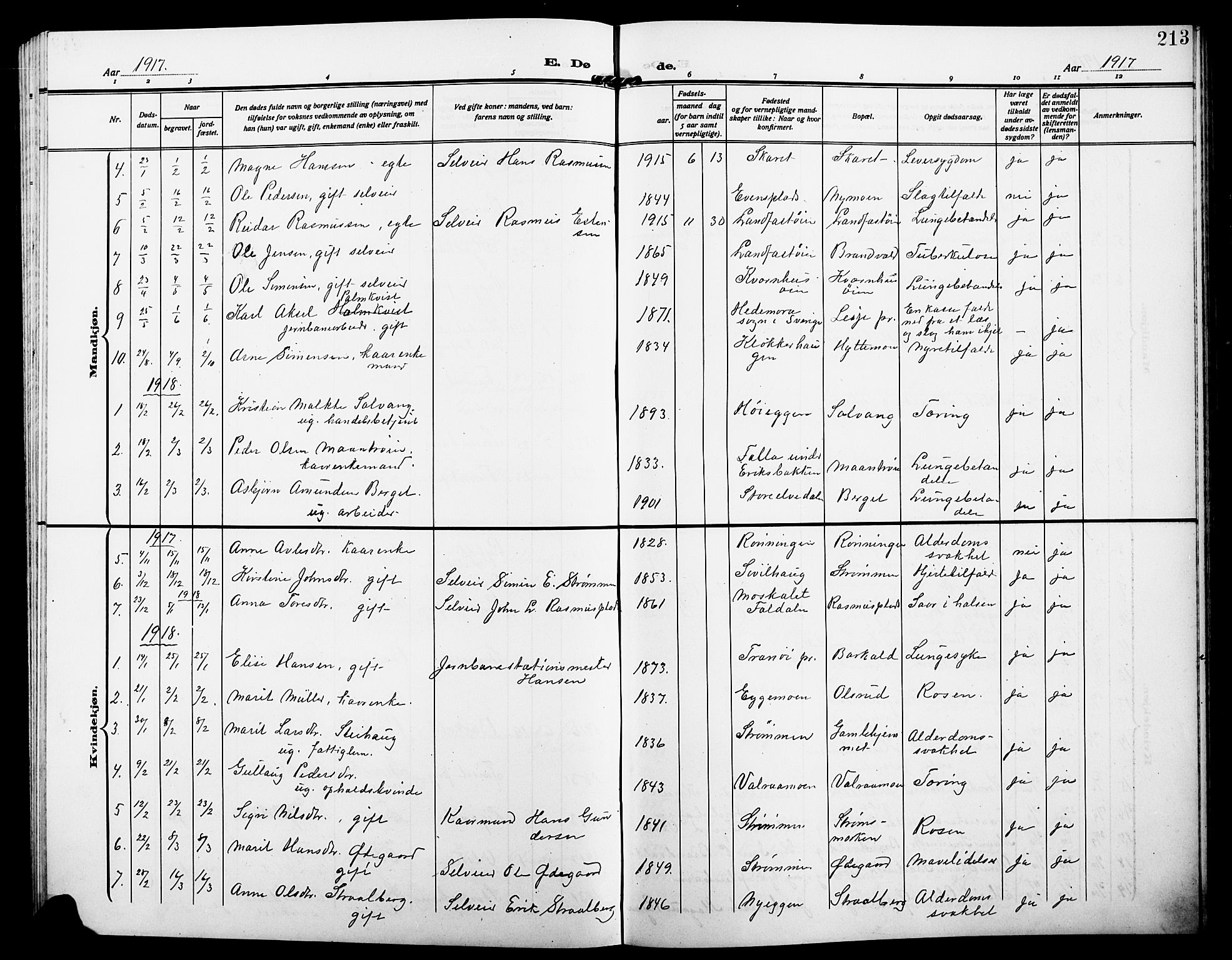 Alvdal prestekontor, SAH/PREST-060/H/Ha/Hab/L0005: Parish register (copy) no. 5, 1908-1923, p. 213