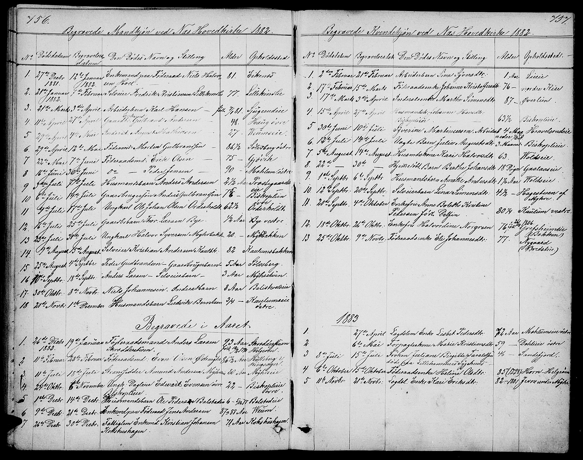 Nes prestekontor, Hedmark, SAH/PREST-020/L/La/L0005: Parish register (copy) no. 5, 1852-1889, p. 756-757