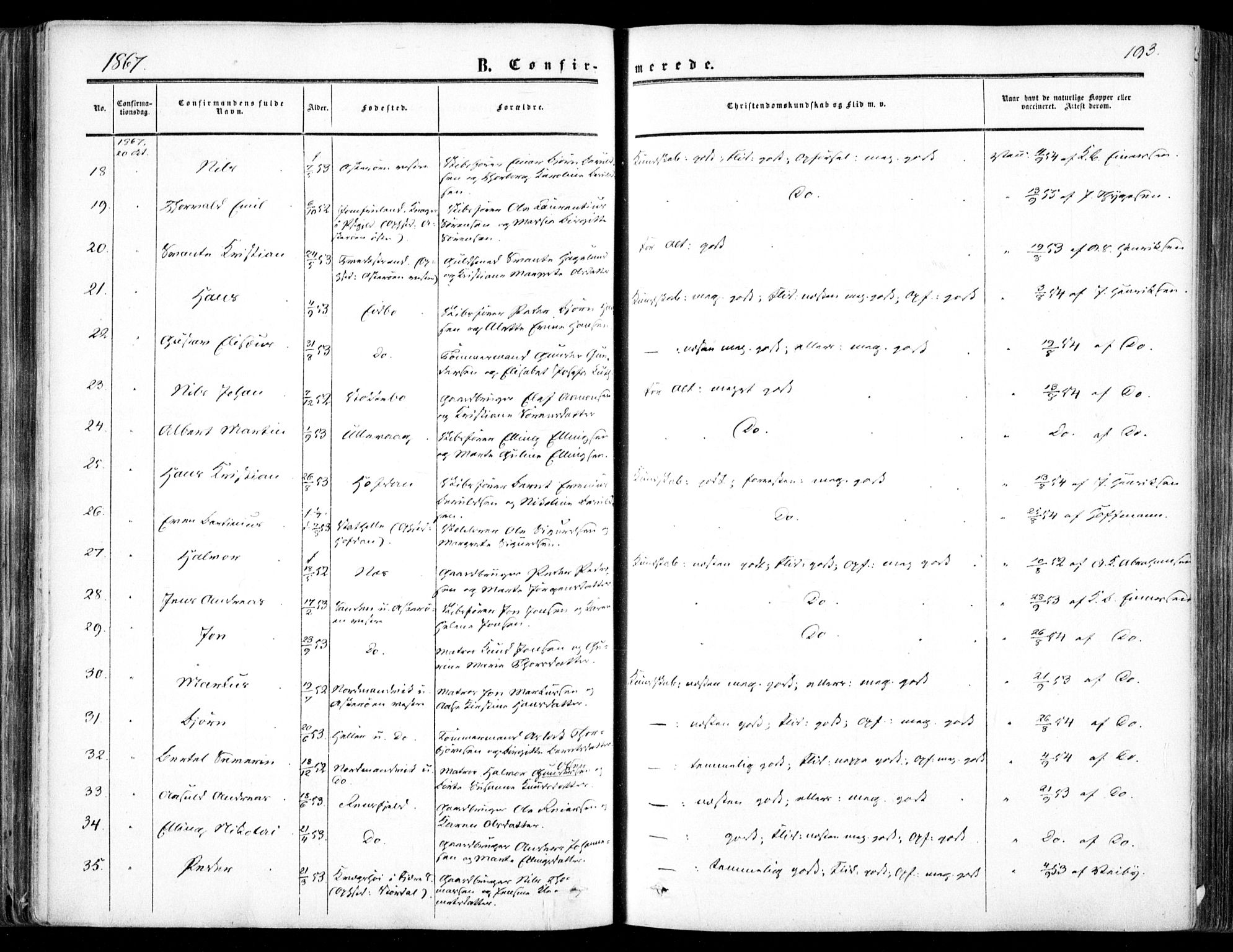 Dypvåg sokneprestkontor, SAK/1111-0007/F/Fa/Faa/L0006: Parish register (official) no. A 6, 1855-1872, p. 193