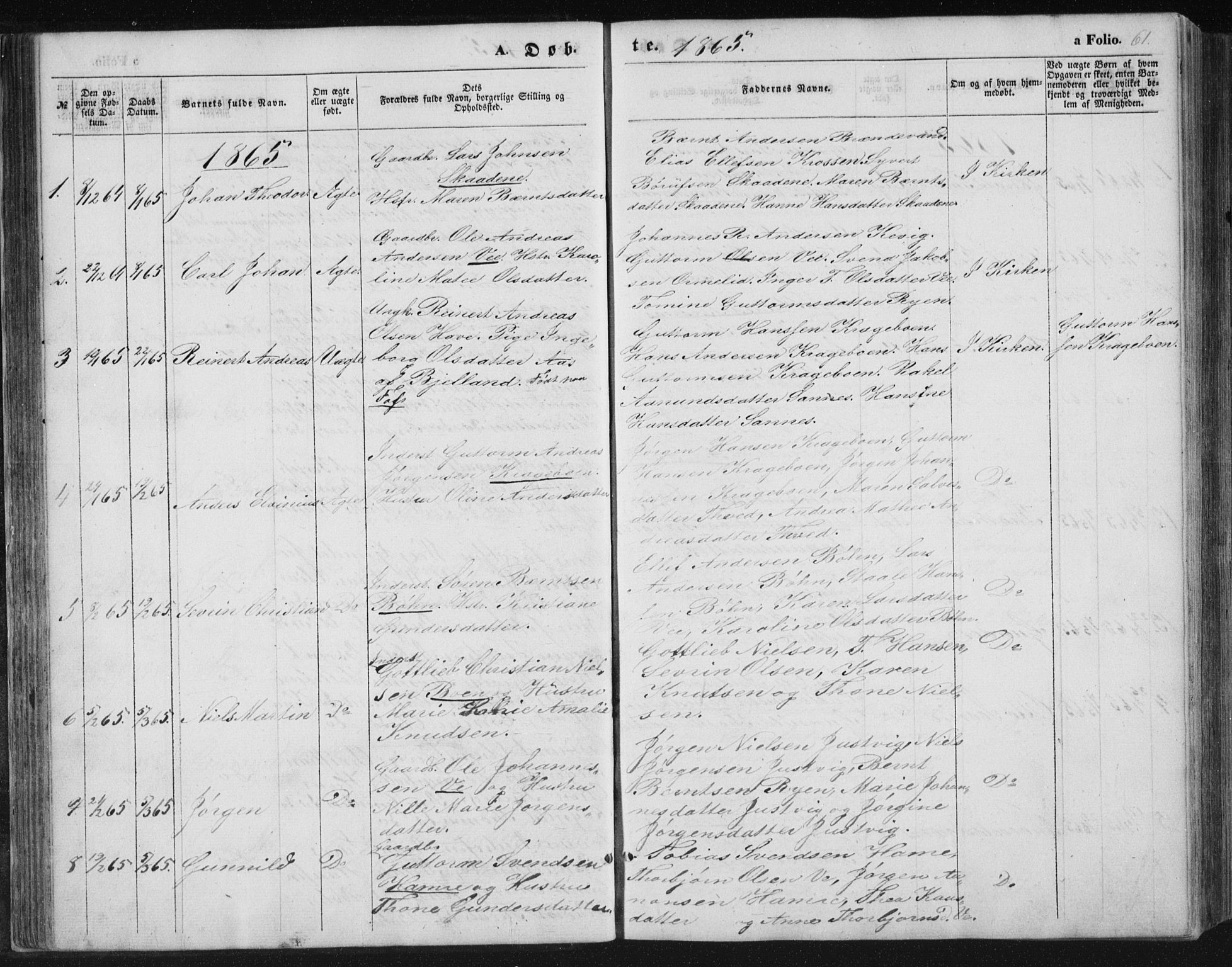 Tveit sokneprestkontor, AV/SAK-1111-0043/F/Fb/L0003: Parish register (copy) no. B 3, 1854-1886, p. 61